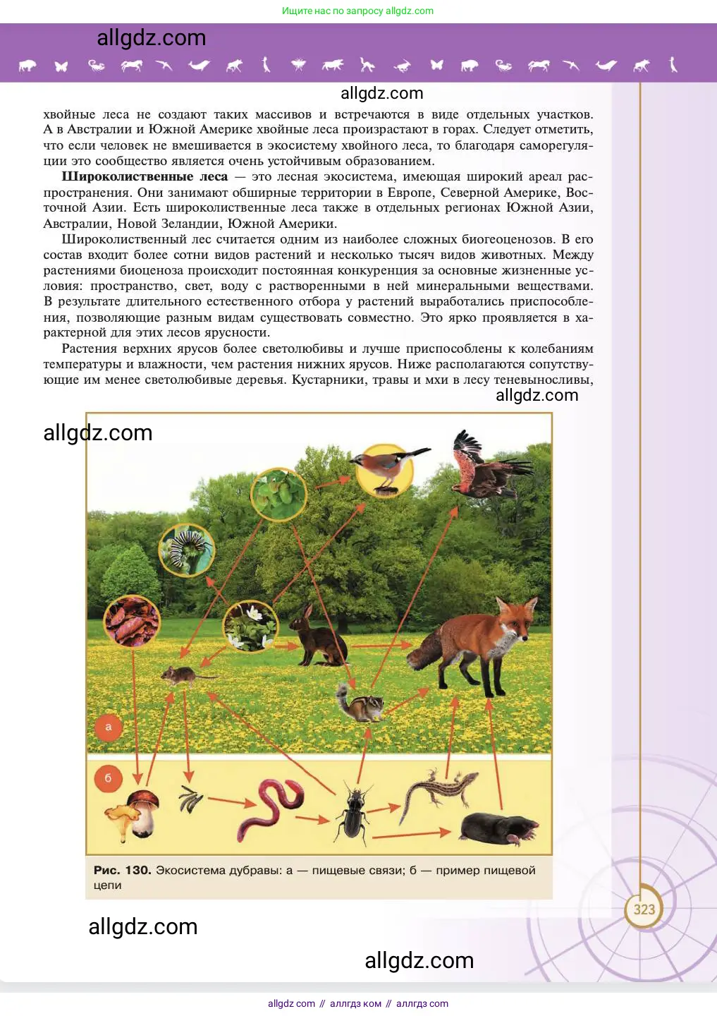 Биология, 11 класс Учебник, авторы: Пасечник Владимир Васильевич, Каменский Андрей Александрович, Рубцов Александр Михайлович, Швецов Глеб Геннадьевич, Абовян Леван Арташесович, Гапонюк Зоя Георгиевна, издательство Просвещение, Москва, 2023, страница 323