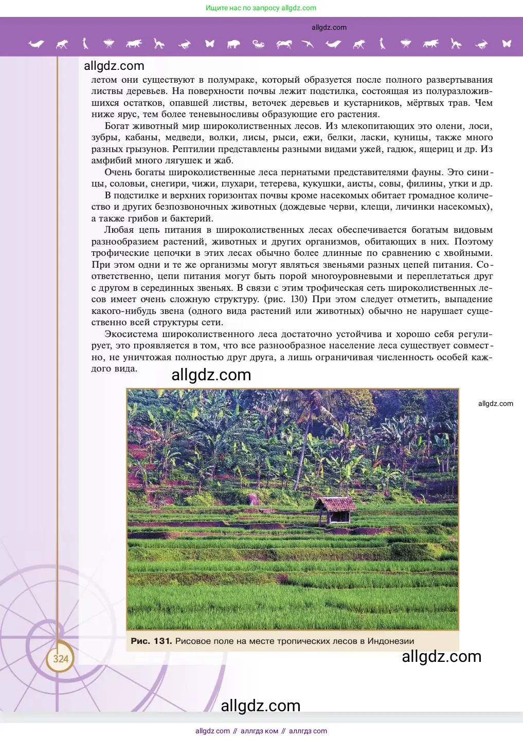 Биология, 11 класс Учебник, авторы: Пасечник Владимир Васильевич, Каменский Андрей Александрович, Рубцов Александр Михайлович, Швецов Глеб Геннадьевич, Абовян Леван Арташесович, Гапонюк Зоя Георгиевна, издательство Просвещение, Москва, 2023, страница 324
