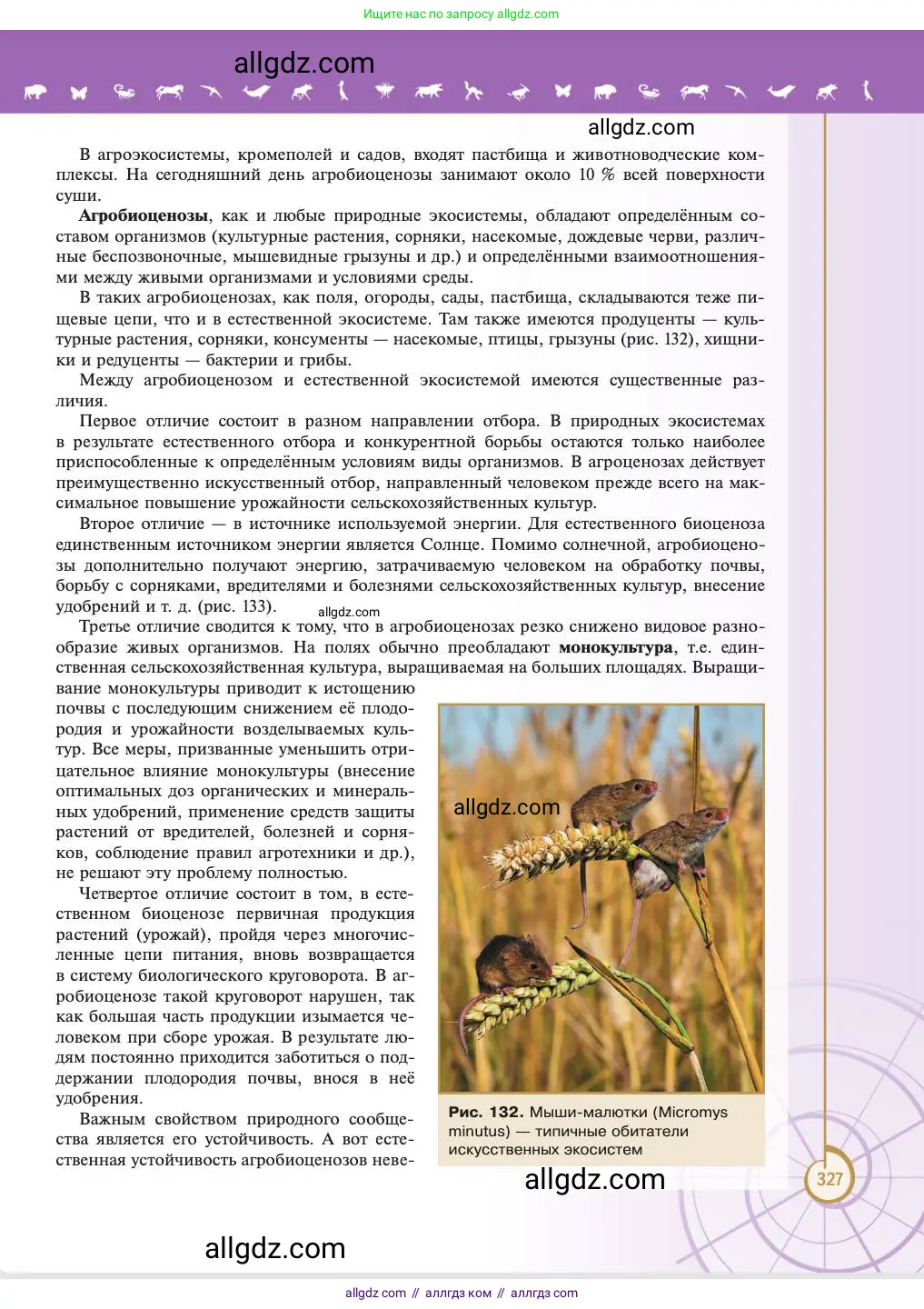 Биология, 11 класс Учебник, авторы: Пасечник Владимир Васильевич, Каменский Андрей Александрович, Рубцов Александр Михайлович, Швецов Глеб Геннадьевич, Абовян Леван Арташесович, Гапонюк Зоя Георгиевна, издательство Просвещение, Москва, 2023, страница 327