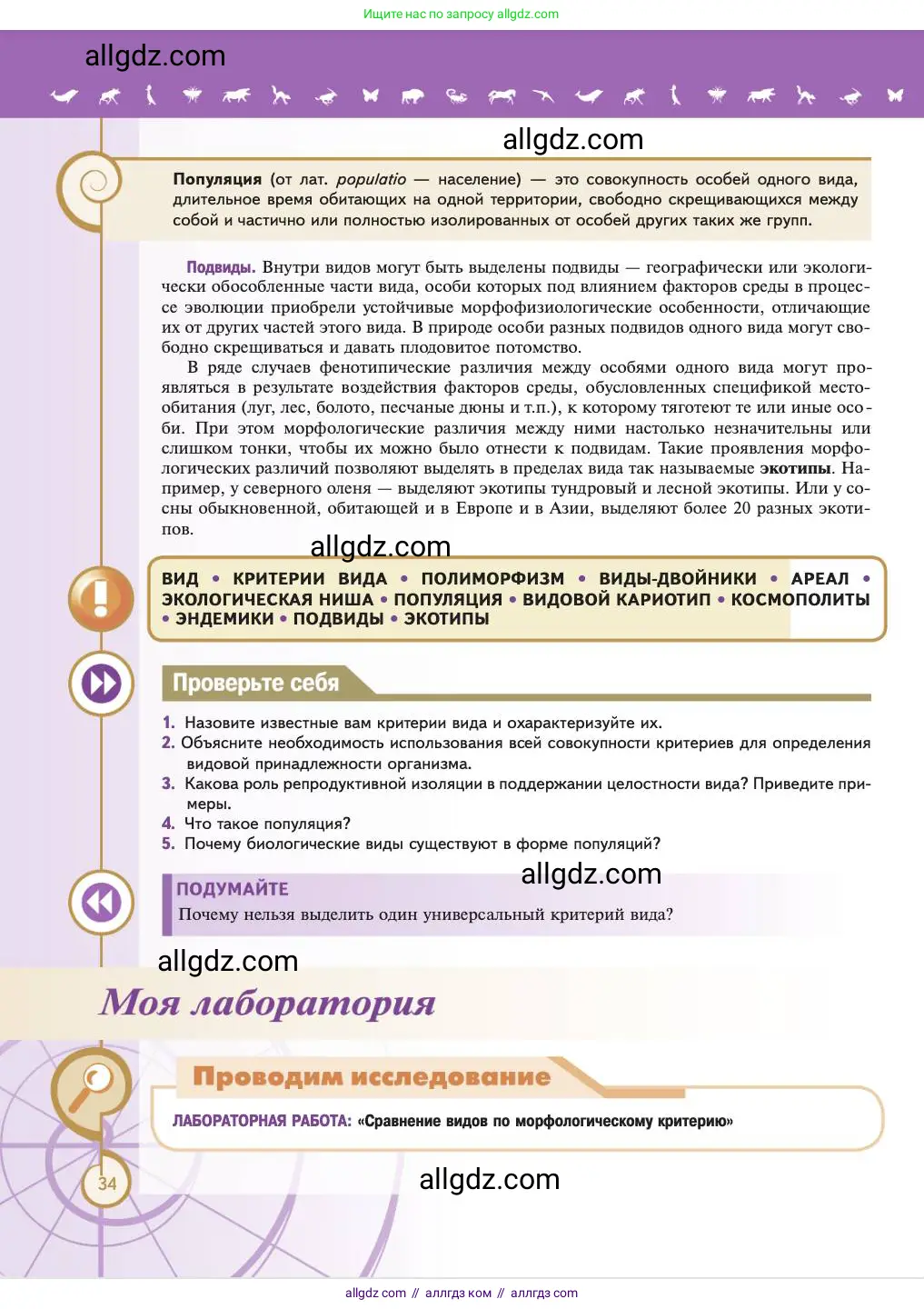 Биология, 11 класс Учебник, авторы: Пасечник Владимир Васильевич, Каменский Андрей Александрович, Рубцов Александр Михайлович, Швецов Глеб Геннадьевич, Абовян Леван Арташесович, Гапонюк Зоя Георгиевна, издательство Просвещение, Москва, 2023, страница 34