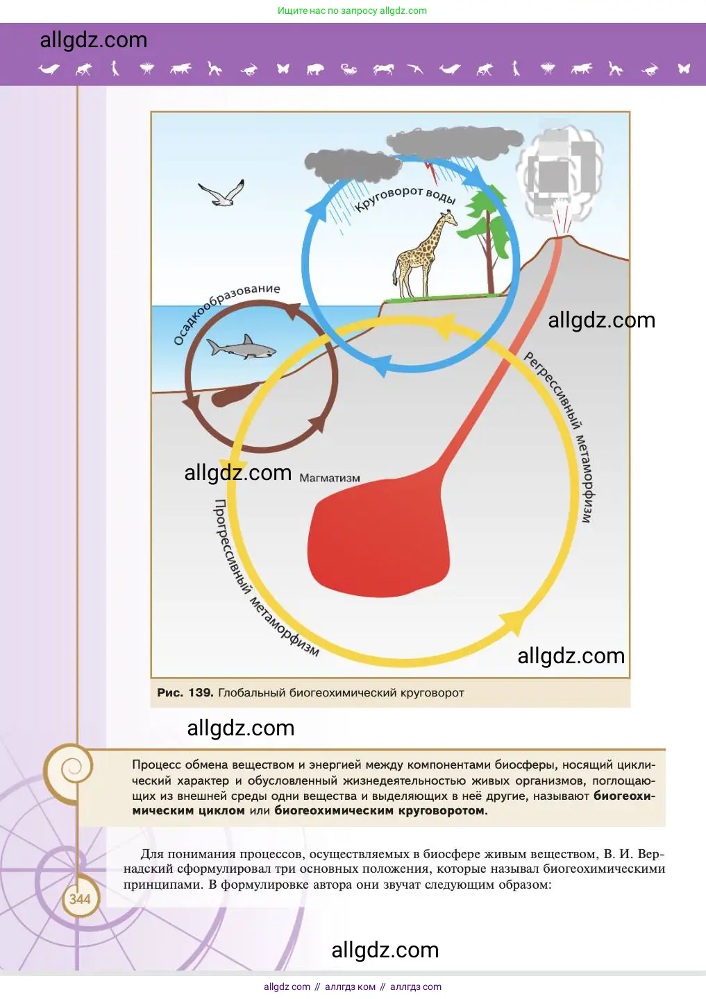Биология, 11 класс Учебник, авторы: Пасечник Владимир Васильевич, Каменский Андрей Александрович, Рубцов Александр Михайлович, Швецов Глеб Геннадьевич, Абовян Леван Арташесович, Гапонюк Зоя Георгиевна, издательство Просвещение, Москва, 2023, страница 344