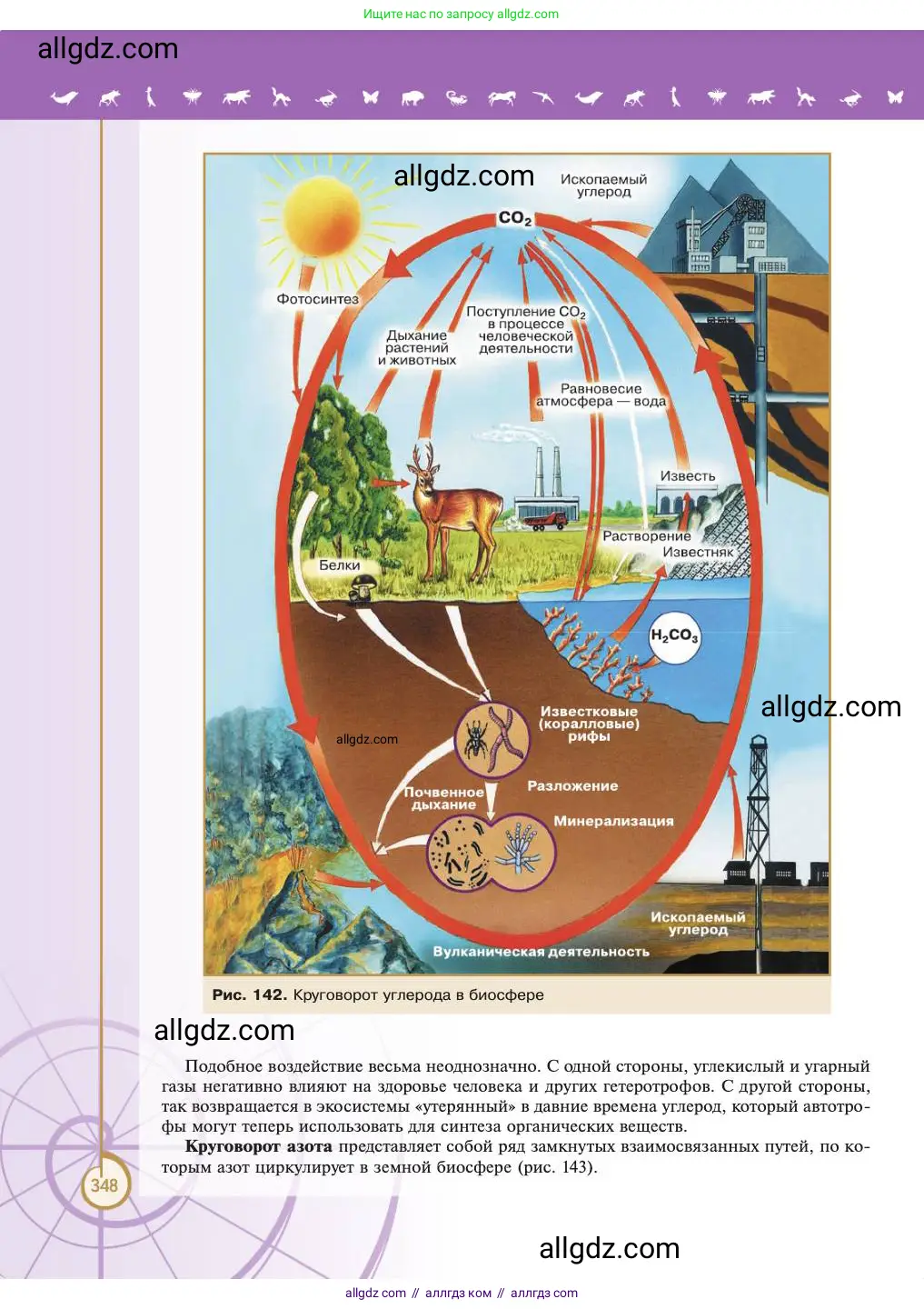 Биология, 11 класс Учебник, авторы: Пасечник Владимир Васильевич, Каменский Андрей Александрович, Рубцов Александр Михайлович, Швецов Глеб Геннадьевич, Абовян Леван Арташесович, Гапонюк Зоя Георгиевна, издательство Просвещение, Москва, 2023, страница 348