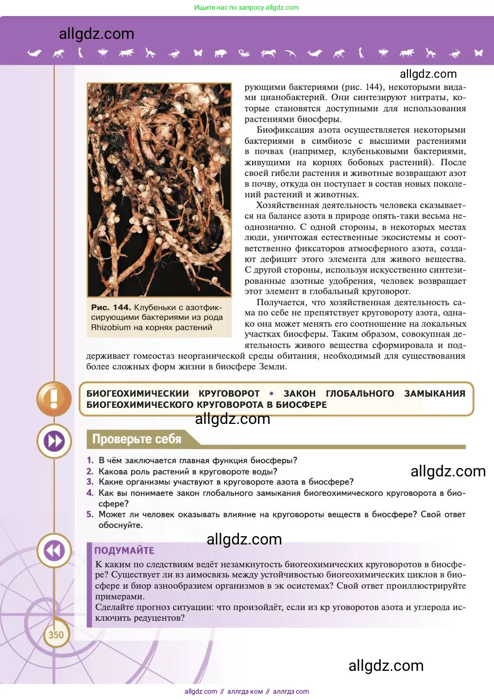 Биология, 11 класс Учебник, авторы: Пасечник Владимир Васильевич, Каменский Андрей Александрович, Рубцов Александр Михайлович, Швецов Глеб Геннадьевич, Абовян Леван Арташесович, Гапонюк Зоя Георгиевна, издательство Просвещение, Москва, 2023, страница 350