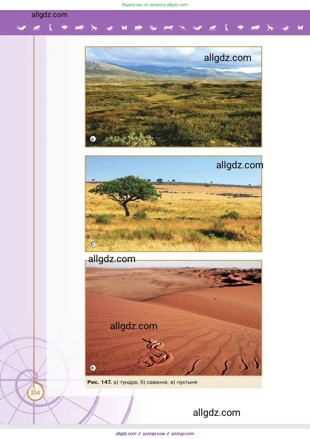 Биология, 11 класс Учебник, авторы: Пасечник Владимир Васильевич, Каменский Андрей Александрович, Рубцов Александр Михайлович, Швецов Глеб Геннадьевич, Абовян Леван Арташесович, Гапонюк Зоя Георгиевна, издательство Просвещение, Москва, 2023, страница 354