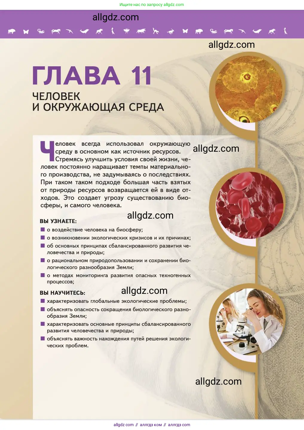 Биология, 11 класс Учебник, авторы: Пасечник Владимир Васильевич, Каменский Андрей Александрович, Рубцов Александр Михайлович, Швецов Глеб Геннадьевич, Абовян Леван Арташесович, Гапонюк Зоя Георгиевна, издательство Просвещение, Москва, 2023, страница 357