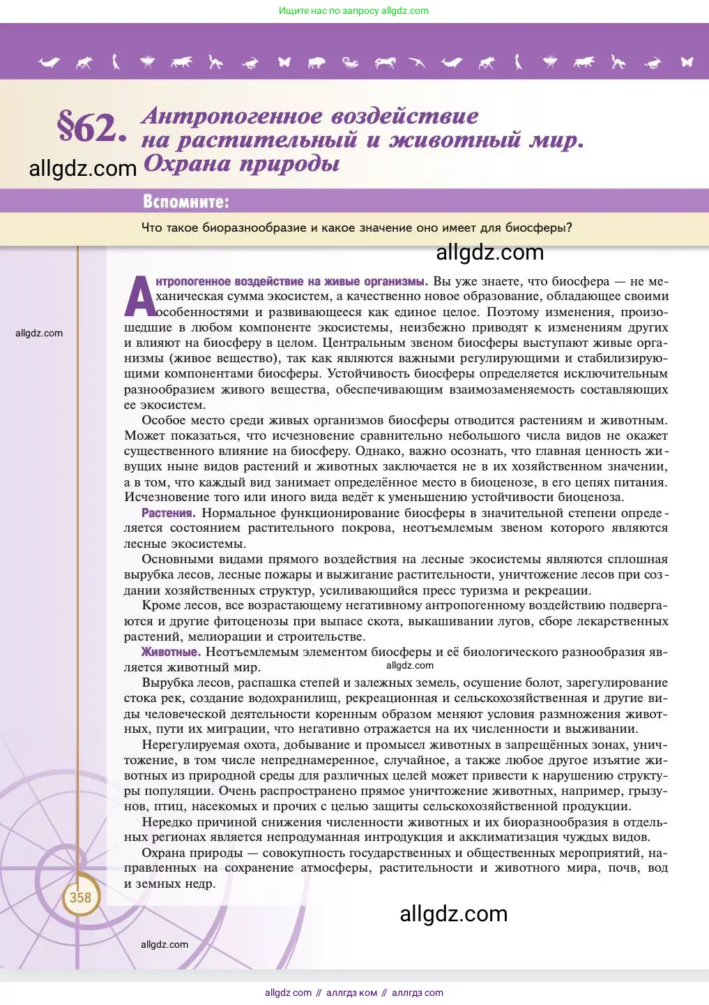 Биология, 11 класс Учебник, авторы: Пасечник Владимир Васильевич, Каменский Андрей Александрович, Рубцов Александр Михайлович, Швецов Глеб Геннадьевич, Абовян Леван Арташесович, Гапонюк Зоя Георгиевна, издательство Просвещение, Москва, 2023, страница 358