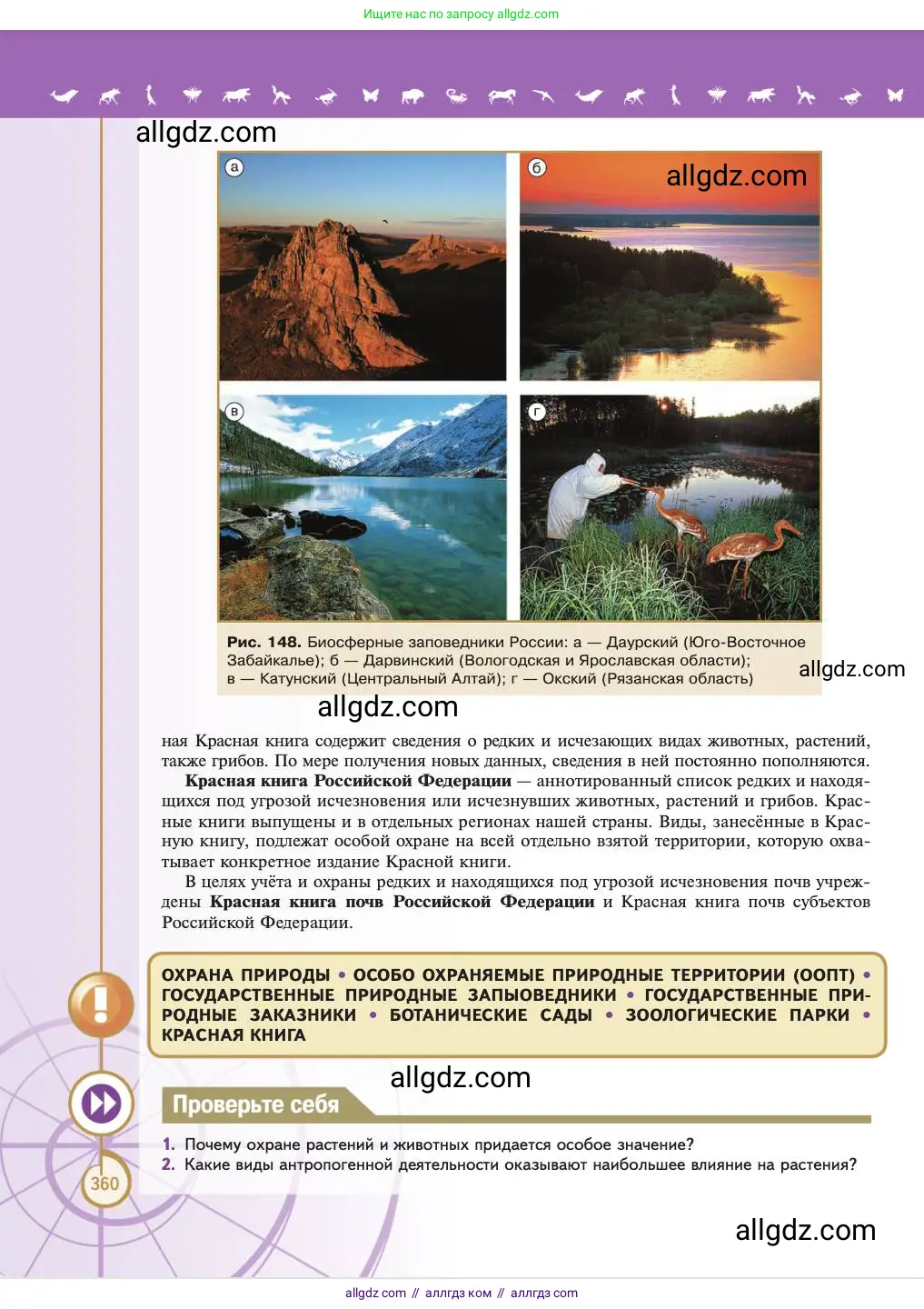 Биология, 11 класс Учебник, авторы: Пасечник Владимир Васильевич, Каменский Андрей Александрович, Рубцов Александр Михайлович, Швецов Глеб Геннадьевич, Абовян Леван Арташесович, Гапонюк Зоя Георгиевна, издательство Просвещение, Москва, 2023, страница 360