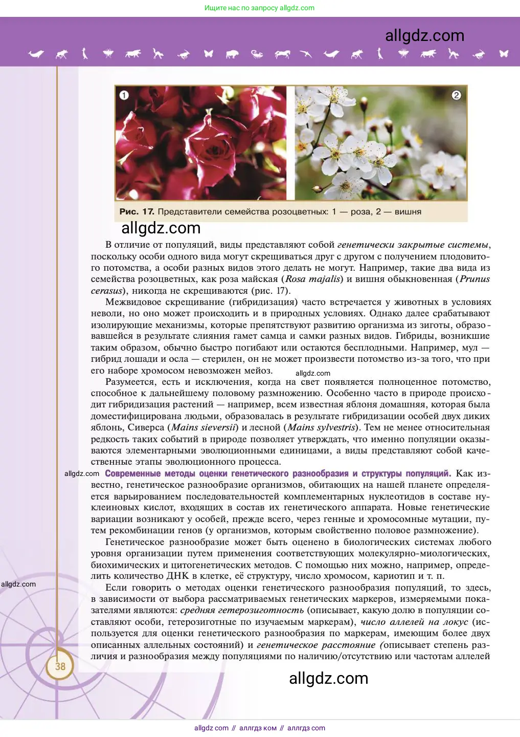 Биология, 11 класс Учебник, авторы: Пасечник Владимир Васильевич, Каменский Андрей Александрович, Рубцов Александр Михайлович, Швецов Глеб Геннадьевич, Абовян Леван Арташесович, Гапонюк Зоя Георгиевна, издательство Просвещение, Москва, 2023, страница 38