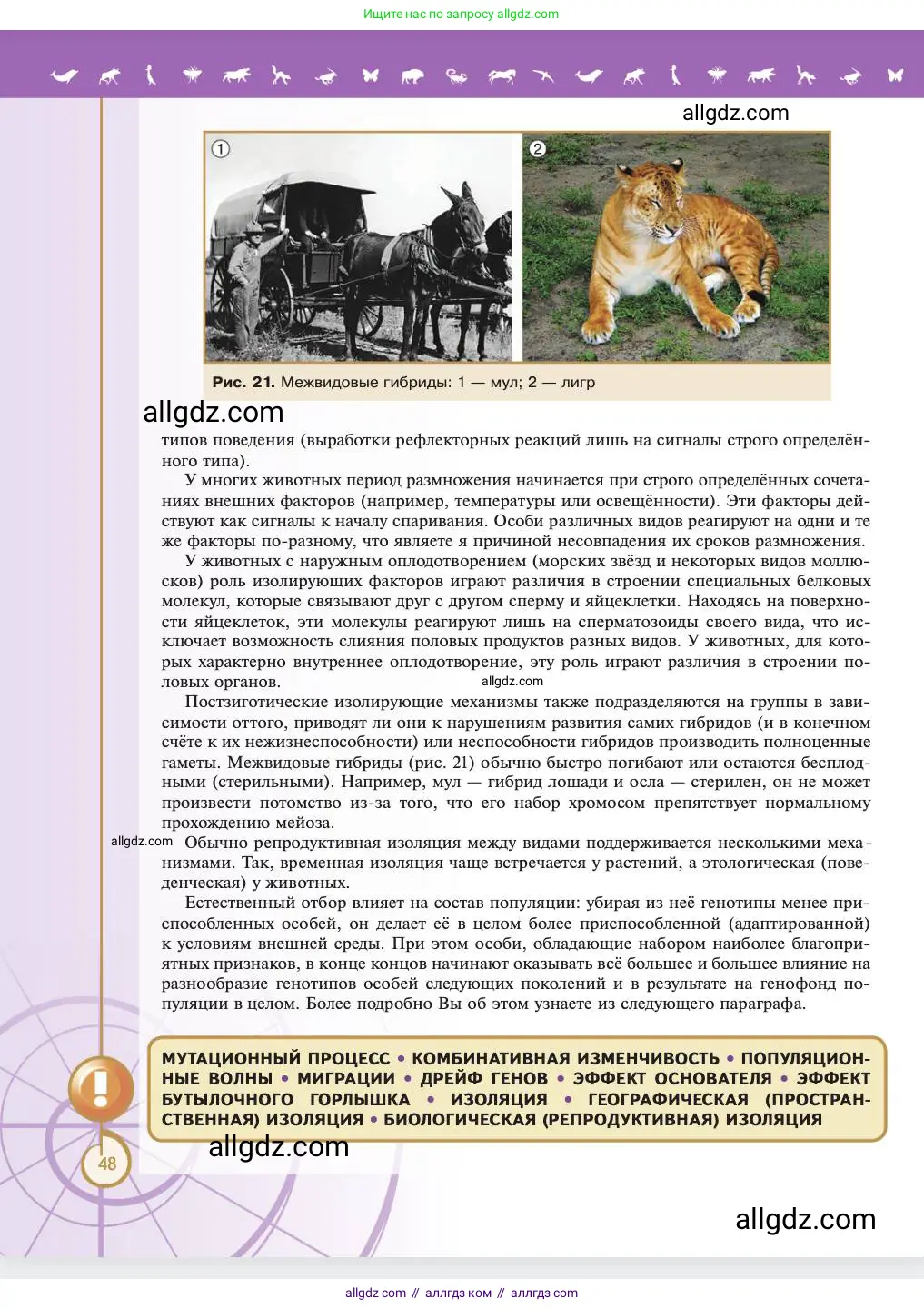 Биология, 11 класс Учебник, авторы: Пасечник Владимир Васильевич, Каменский Андрей Александрович, Рубцов Александр Михайлович, Швецов Глеб Геннадьевич, Абовян Леван Арташесович, Гапонюк Зоя Георгиевна, издательство Просвещение, Москва, 2023, страница 48