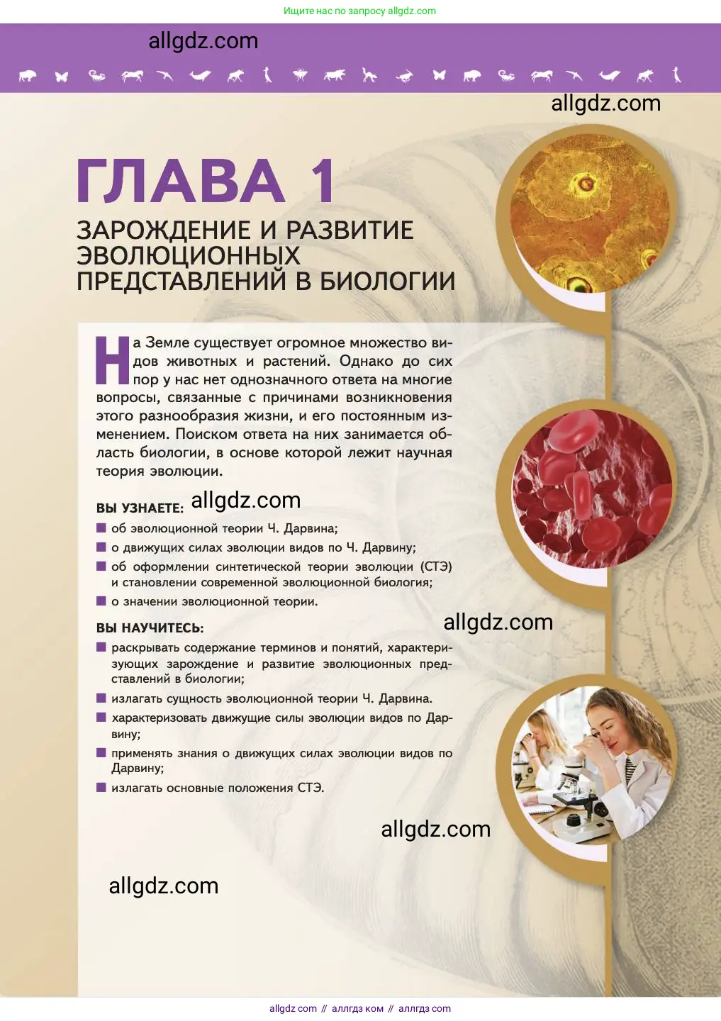 Биология, 11 класс Учебник, авторы: Пасечник Владимир Васильевич, Каменский Андрей Александрович, Рубцов Александр Михайлович, Швецов Глеб Геннадьевич, Абовян Леван Арташесович, Гапонюк Зоя Георгиевна, издательство Просвещение, Москва, 2023, страница 5