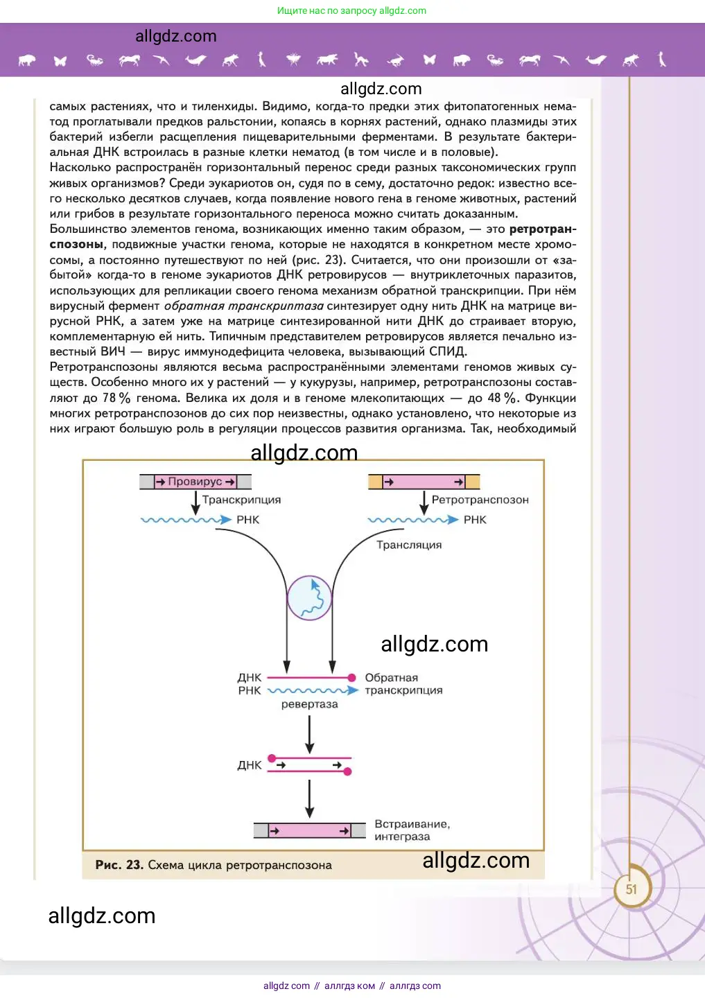 Биология, 11 класс Учебник, авторы: Пасечник Владимир Васильевич, Каменский Андрей Александрович, Рубцов Александр Михайлович, Швецов Глеб Геннадьевич, Абовян Леван Арташесович, Гапонюк Зоя Георгиевна, издательство Просвещение, Москва, 2023, страница 51