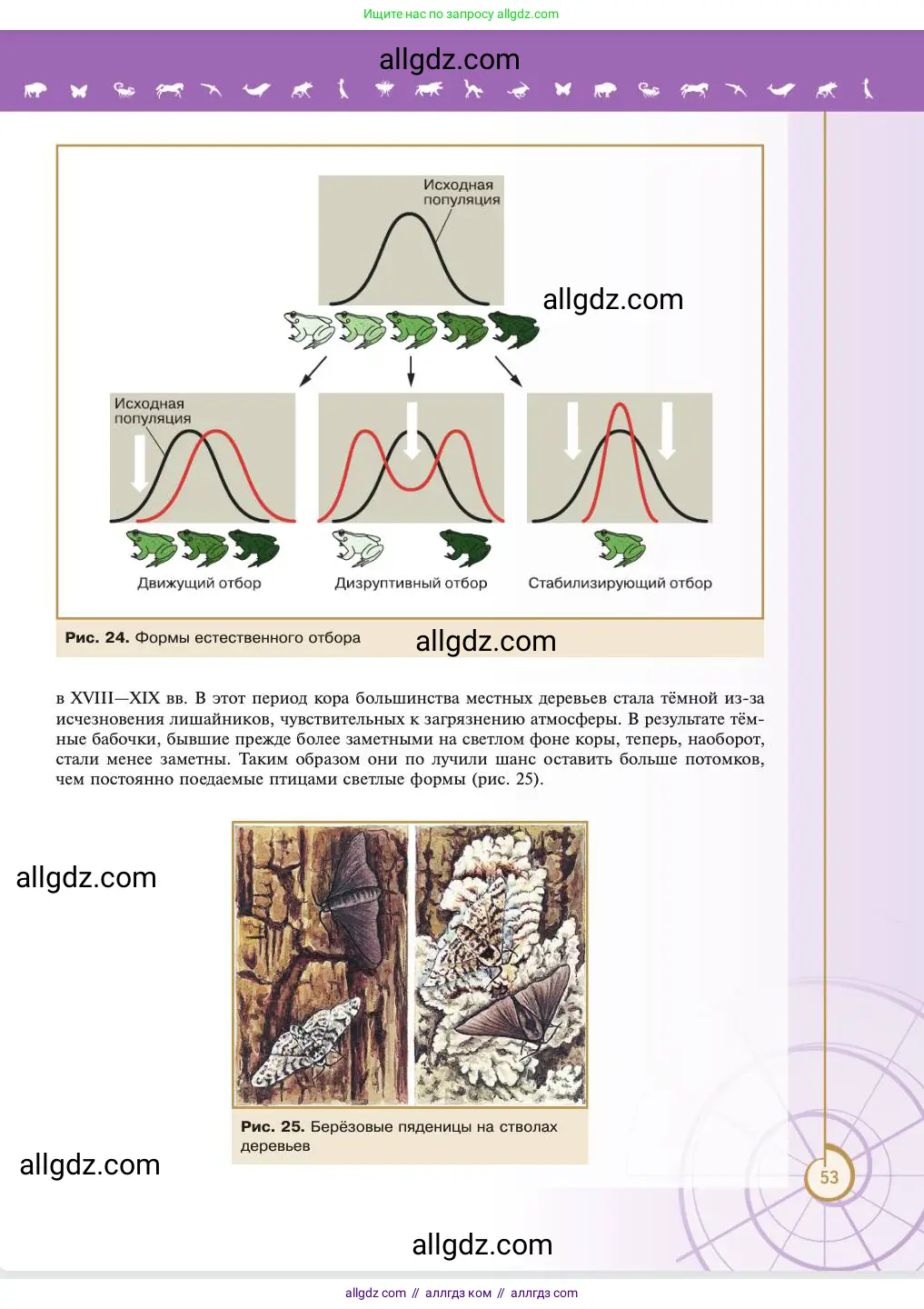Биология, 11 класс Учебник, авторы: Пасечник Владимир Васильевич, Каменский Андрей Александрович, Рубцов Александр Михайлович, Швецов Глеб Геннадьевич, Абовян Леван Арташесович, Гапонюк Зоя Георгиевна, издательство Просвещение, Москва, 2023, страница 53