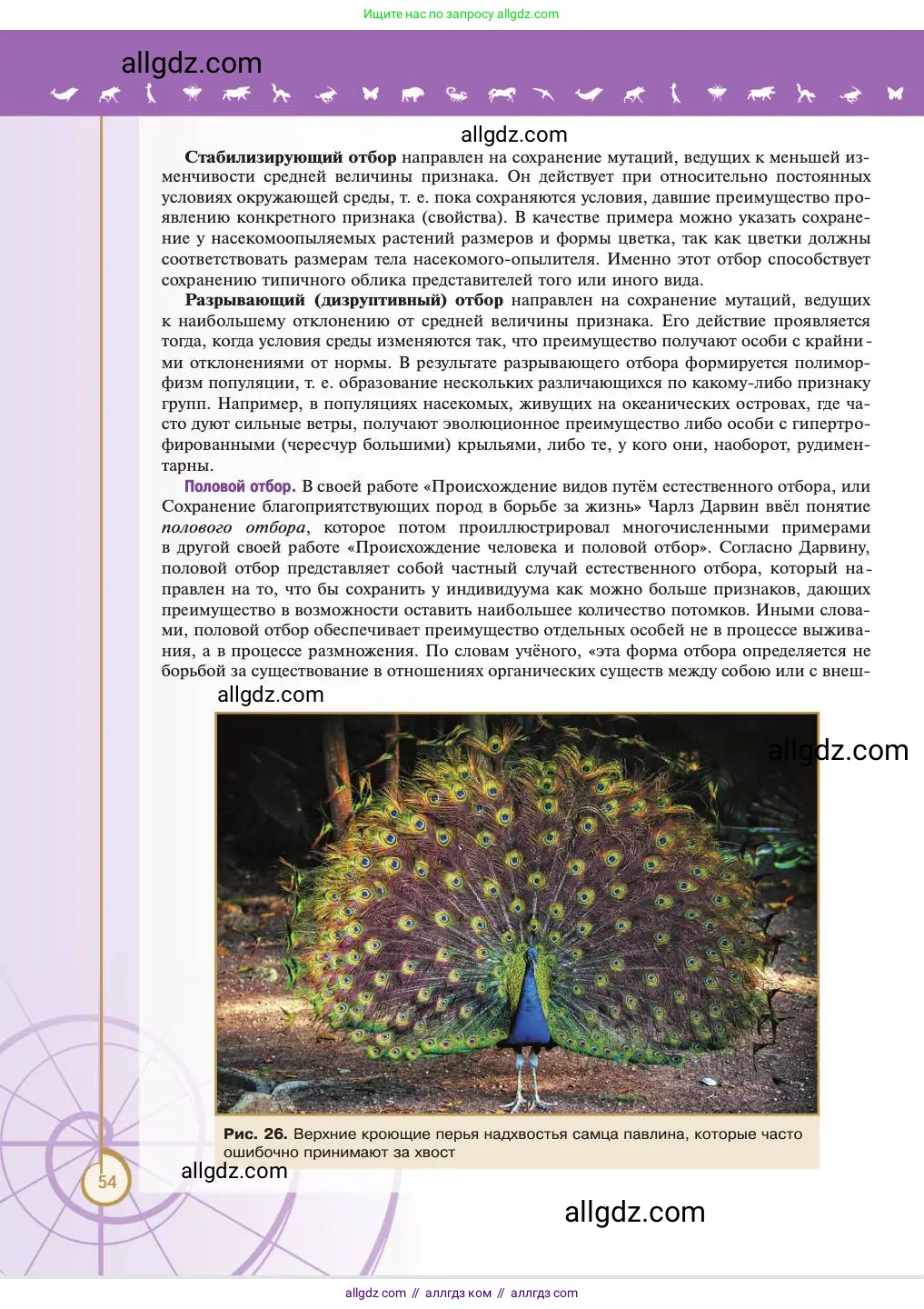 Биология, 11 класс Учебник, авторы: Пасечник Владимир Васильевич, Каменский Андрей Александрович, Рубцов Александр Михайлович, Швецов Глеб Геннадьевич, Абовян Леван Арташесович, Гапонюк Зоя Георгиевна, издательство Просвещение, Москва, 2023, страница 54