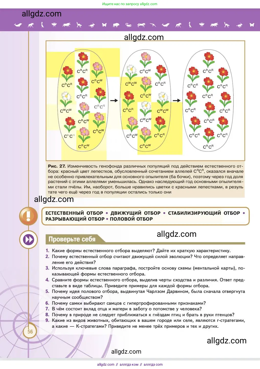Биология, 11 класс Учебник, авторы: Пасечник Владимир Васильевич, Каменский Андрей Александрович, Рубцов Александр Михайлович, Швецов Глеб Геннадьевич, Абовян Леван Арташесович, Гапонюк Зоя Георгиевна, издательство Просвещение, Москва, 2023, страница 56