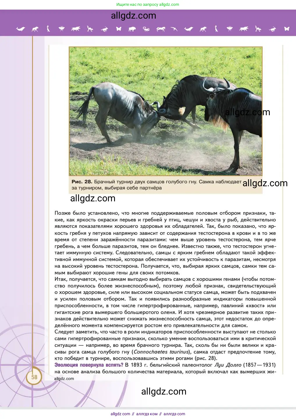 Биология, 11 класс Учебник, авторы: Пасечник Владимир Васильевич, Каменский Андрей Александрович, Рубцов Александр Михайлович, Швецов Глеб Геннадьевич, Абовян Леван Арташесович, Гапонюк Зоя Георгиевна, издательство Просвещение, Москва, 2023, страница 58