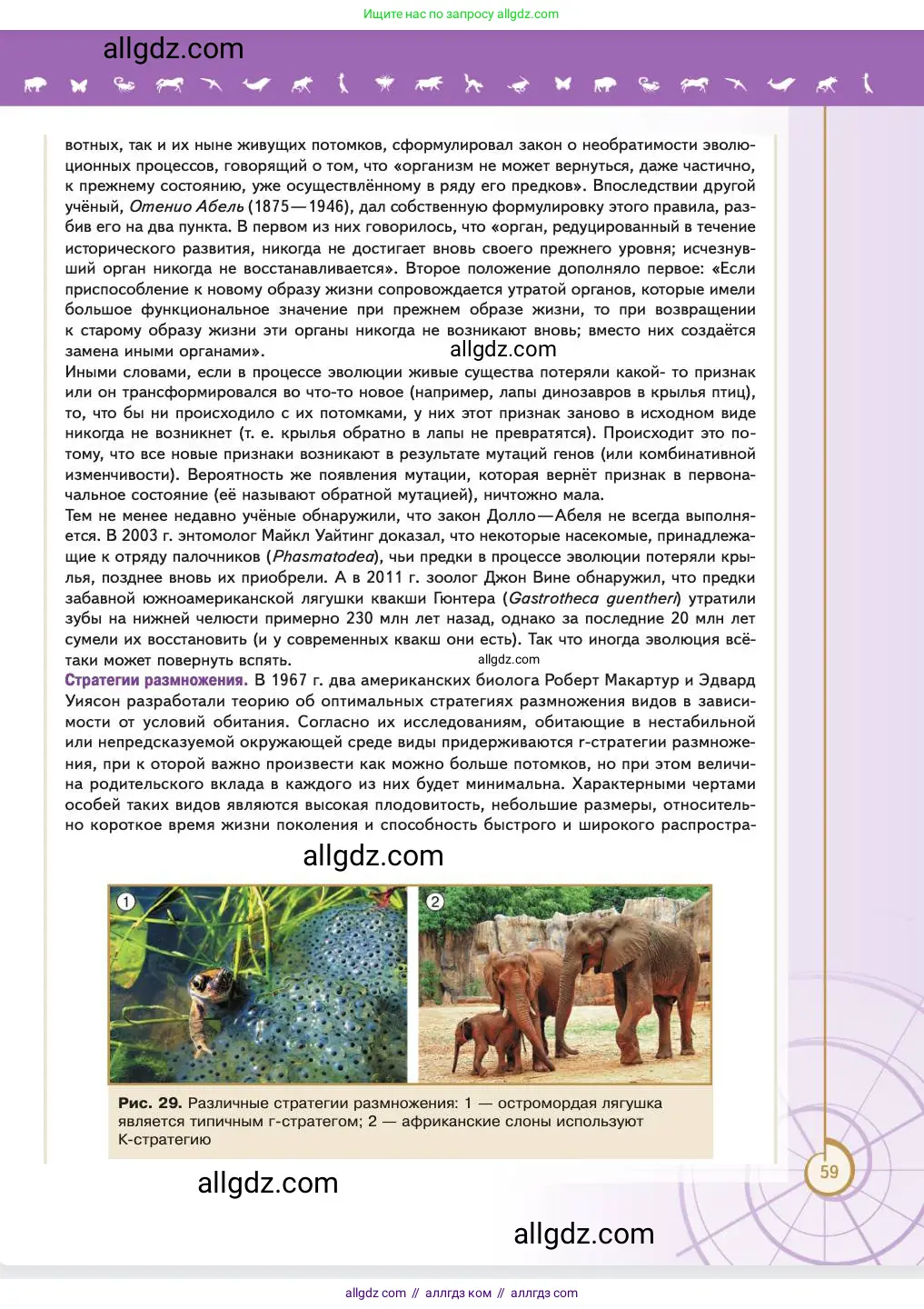 Биология, 11 класс Учебник, авторы: Пасечник Владимир Васильевич, Каменский Андрей Александрович, Рубцов Александр Михайлович, Швецов Глеб Геннадьевич, Абовян Леван Арташесович, Гапонюк Зоя Георгиевна, издательство Просвещение, Москва, 2023, страница 59