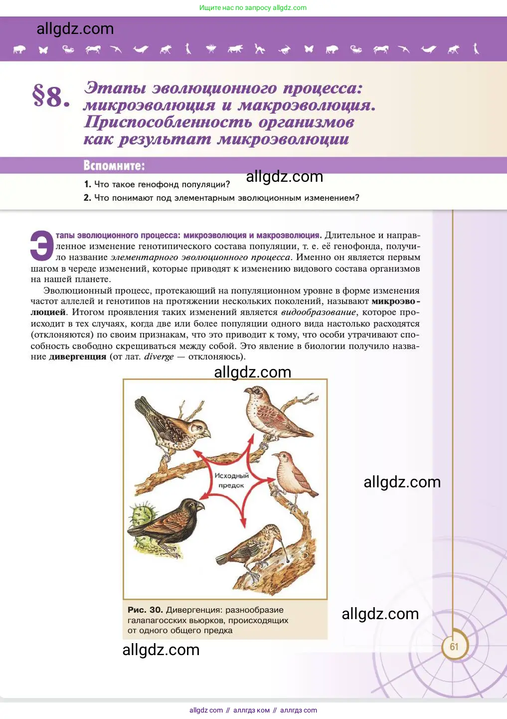 Биология, 11 класс Учебник, авторы: Пасечник Владимир Васильевич, Каменский Андрей Александрович, Рубцов Александр Михайлович, Швецов Глеб Геннадьевич, Абовян Леван Арташесович, Гапонюк Зоя Георгиевна, издательство Просвещение, Москва, 2023, страница 61