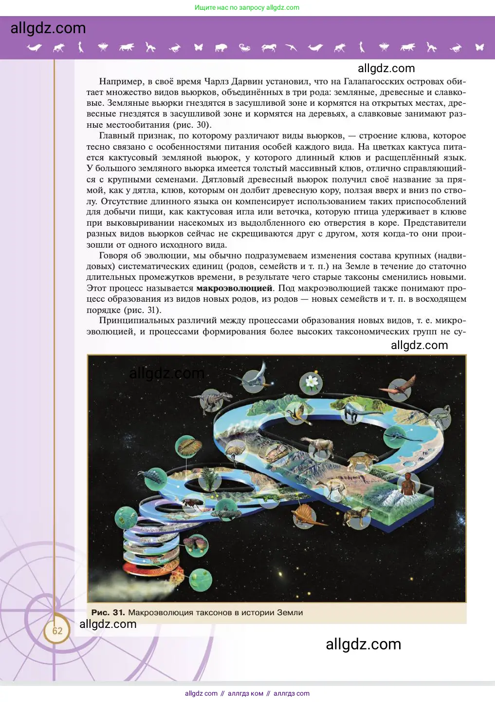 Биология, 11 класс Учебник, авторы: Пасечник Владимир Васильевич, Каменский Андрей Александрович, Рубцов Александр Михайлович, Швецов Глеб Геннадьевич, Абовян Леван Арташесович, Гапонюк Зоя Георгиевна, издательство Просвещение, Москва, 2023, страница 62