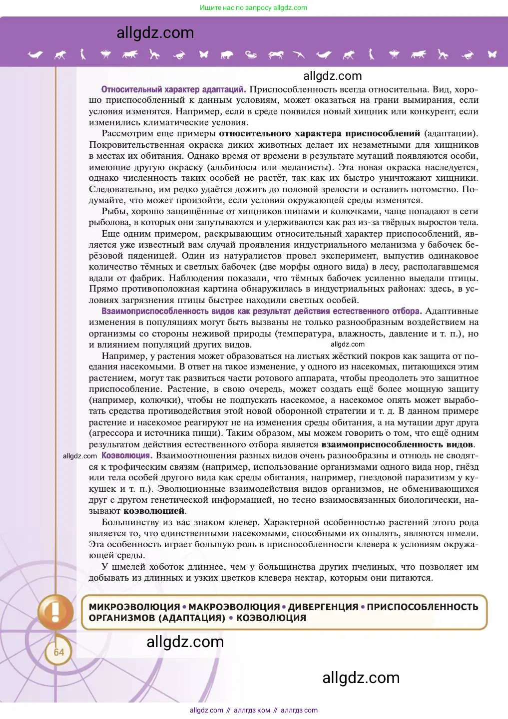 Биология, 11 класс Учебник, авторы: Пасечник Владимир Васильевич, Каменский Андрей Александрович, Рубцов Александр Михайлович, Швецов Глеб Геннадьевич, Абовян Леван Арташесович, Гапонюк Зоя Георгиевна, издательство Просвещение, Москва, 2023, страница 64