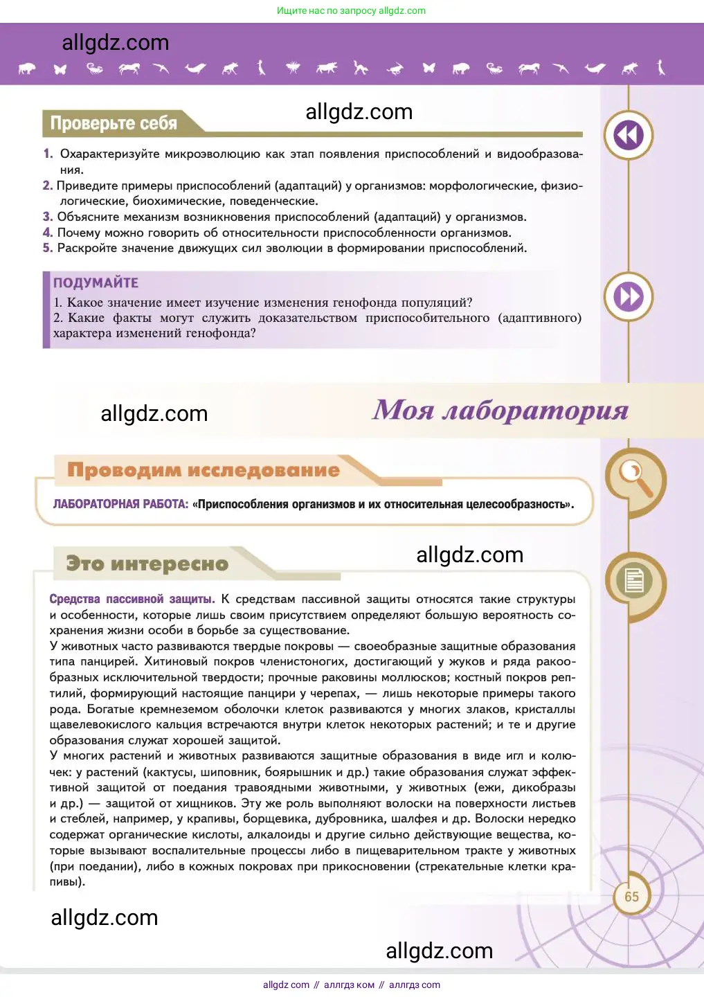 Биология, 11 класс Учебник, авторы: Пасечник Владимир Васильевич, Каменский Андрей Александрович, Рубцов Александр Михайлович, Швецов Глеб Геннадьевич, Абовян Леван Арташесович, Гапонюк Зоя Георгиевна, издательство Просвещение, Москва, 2023, страница 65