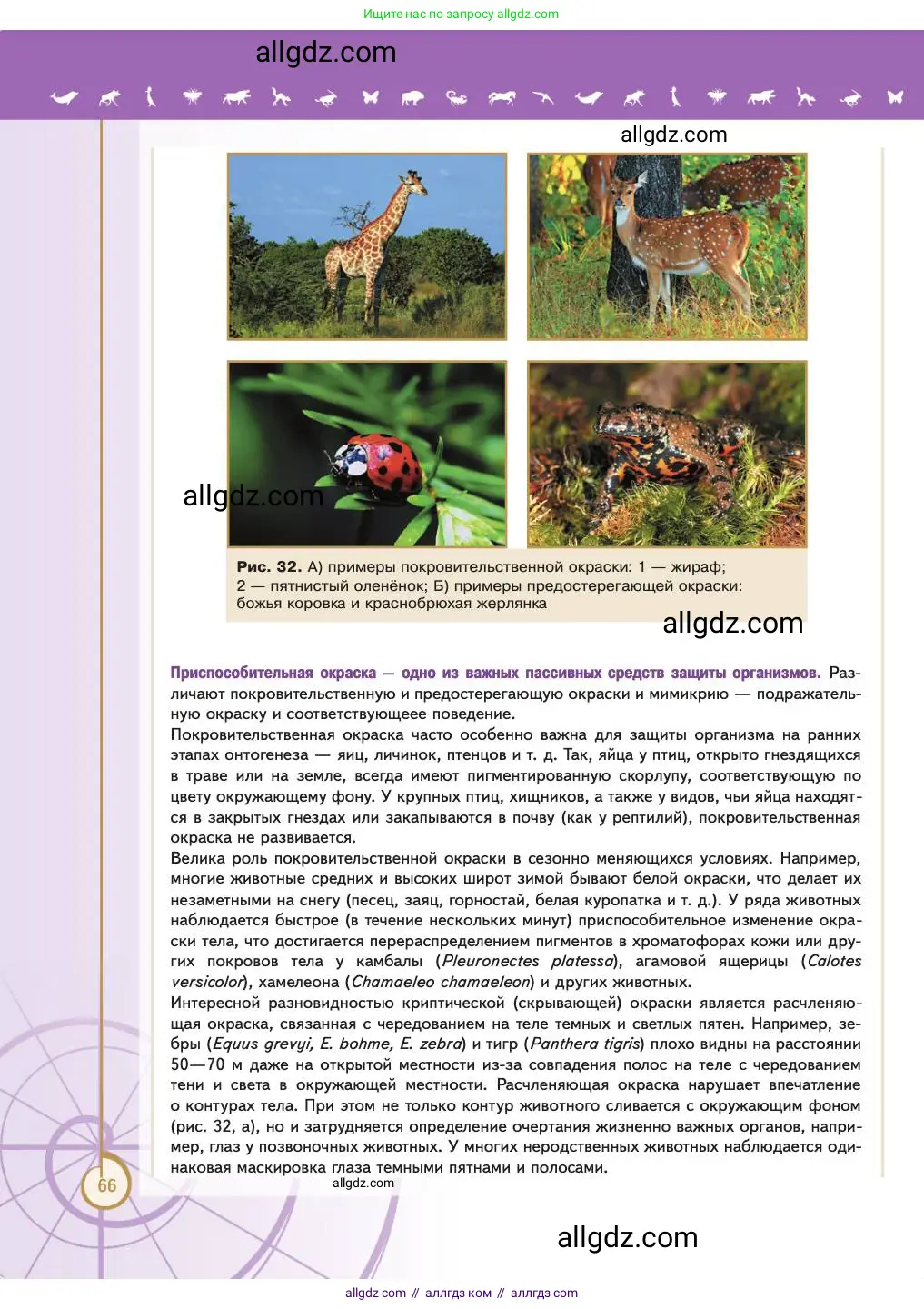Биология, 11 класс Учебник, авторы: Пасечник Владимир Васильевич, Каменский Андрей Александрович, Рубцов Александр Михайлович, Швецов Глеб Геннадьевич, Абовян Леван Арташесович, Гапонюк Зоя Георгиевна, издательство Просвещение, Москва, 2023, страница 66