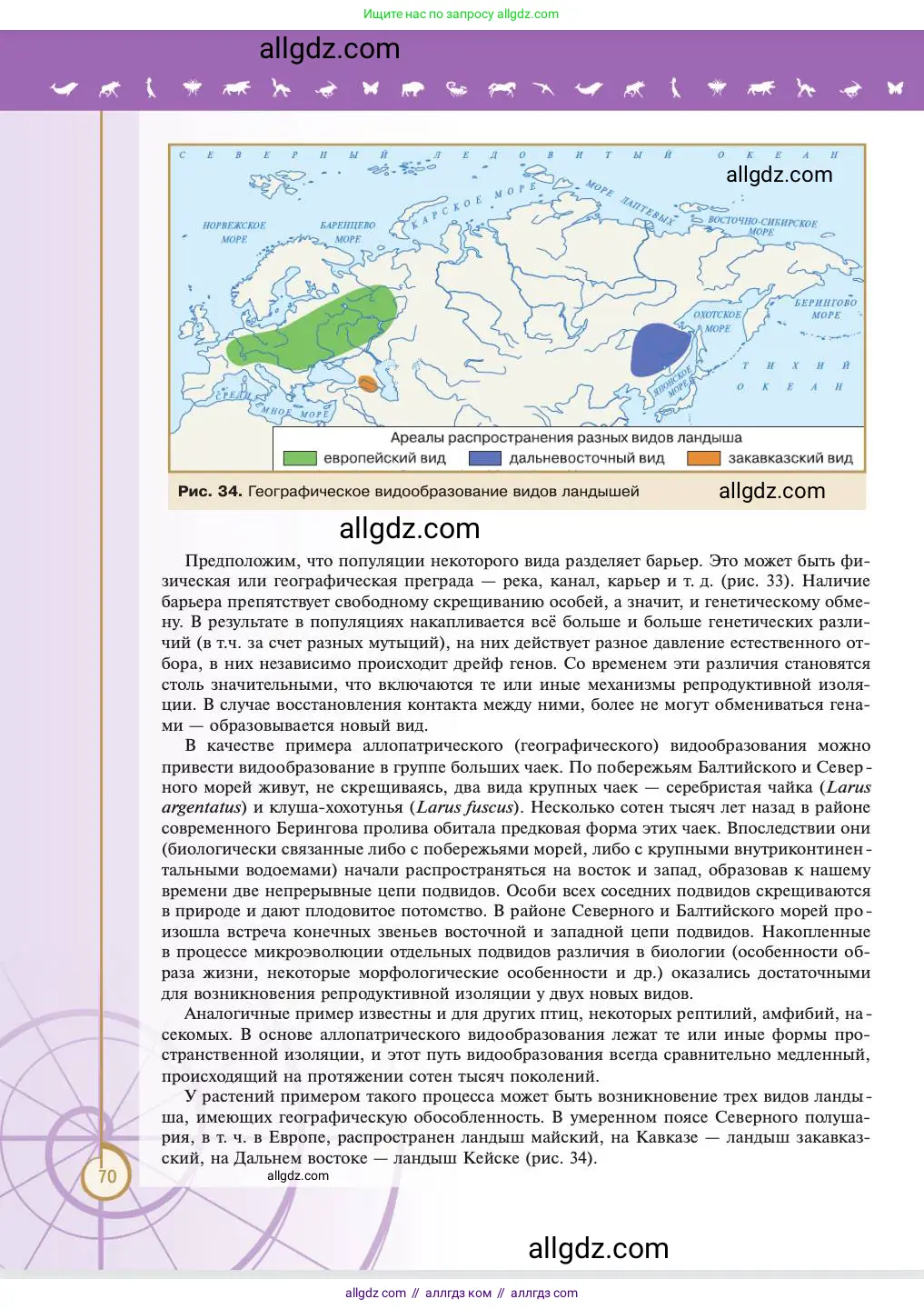 Биология, 11 класс Учебник, авторы: Пасечник Владимир Васильевич, Каменский Андрей Александрович, Рубцов Александр Михайлович, Швецов Глеб Геннадьевич, Абовян Леван Арташесович, Гапонюк Зоя Георгиевна, издательство Просвещение, Москва, 2023, страница 70