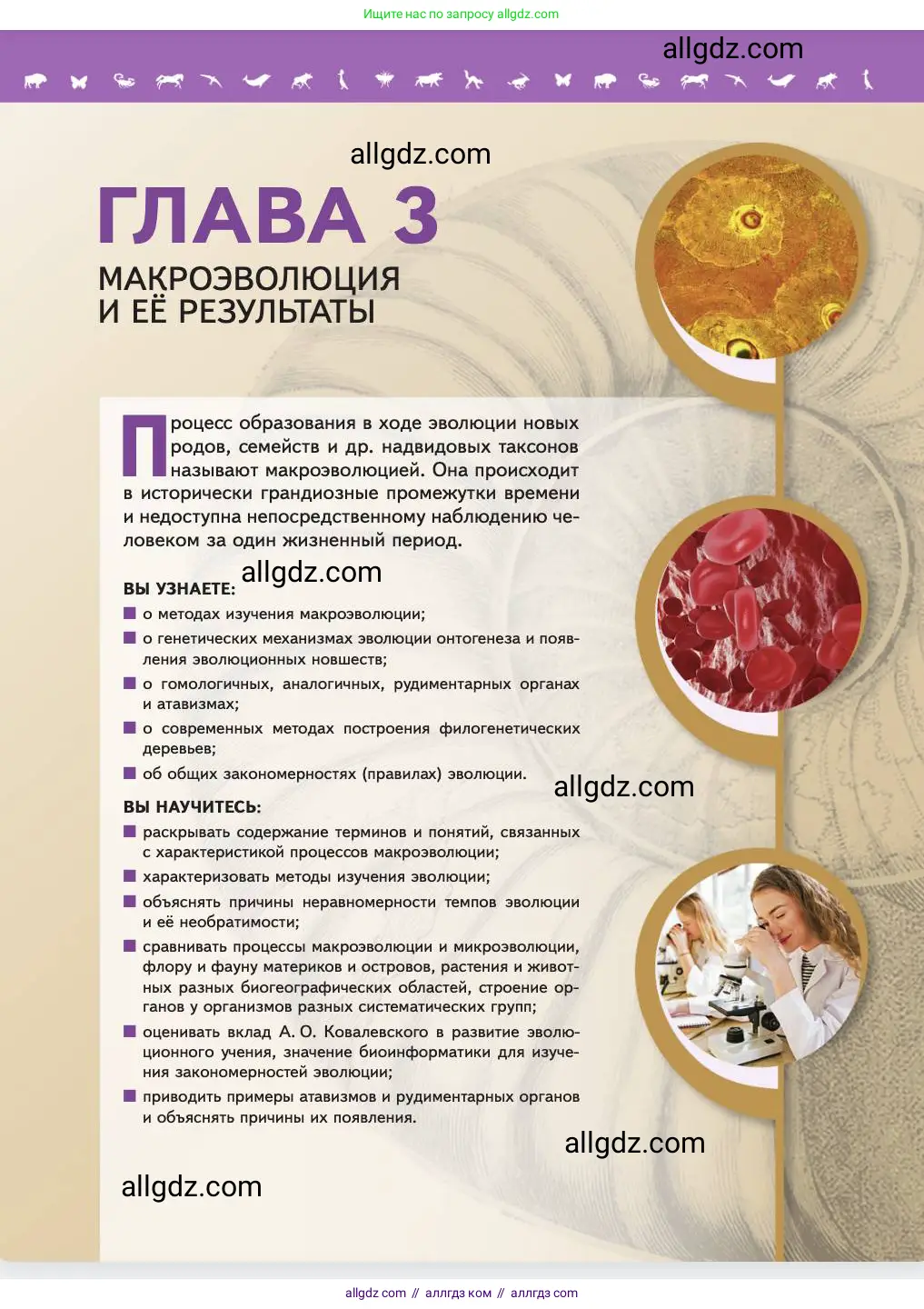 Биология, 11 класс Учебник, авторы: Пасечник Владимир Васильевич, Каменский Андрей Александрович, Рубцов Александр Михайлович, Швецов Глеб Геннадьевич, Абовян Леван Арташесович, Гапонюк Зоя Георгиевна, издательство Просвещение, Москва, 2023, страница 81