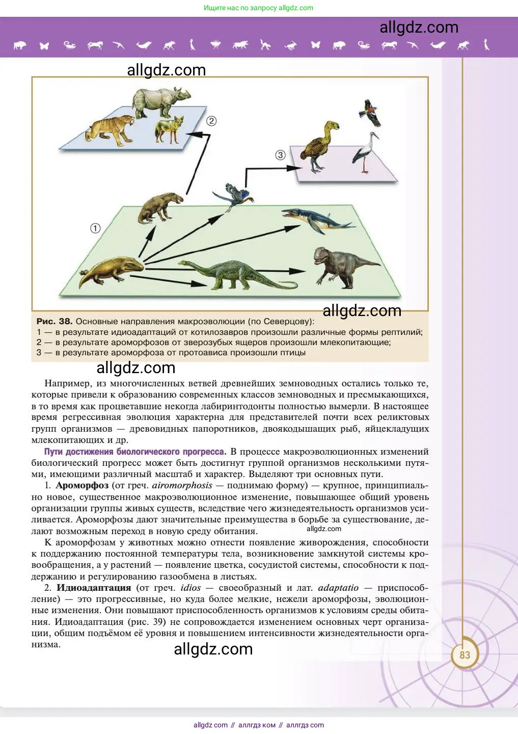Биология, 11 класс Учебник, авторы: Пасечник Владимир Васильевич, Каменский Андрей Александрович, Рубцов Александр Михайлович, Швецов Глеб Геннадьевич, Абовян Леван Арташесович, Гапонюк Зоя Георгиевна, издательство Просвещение, Москва, 2023, страница 83