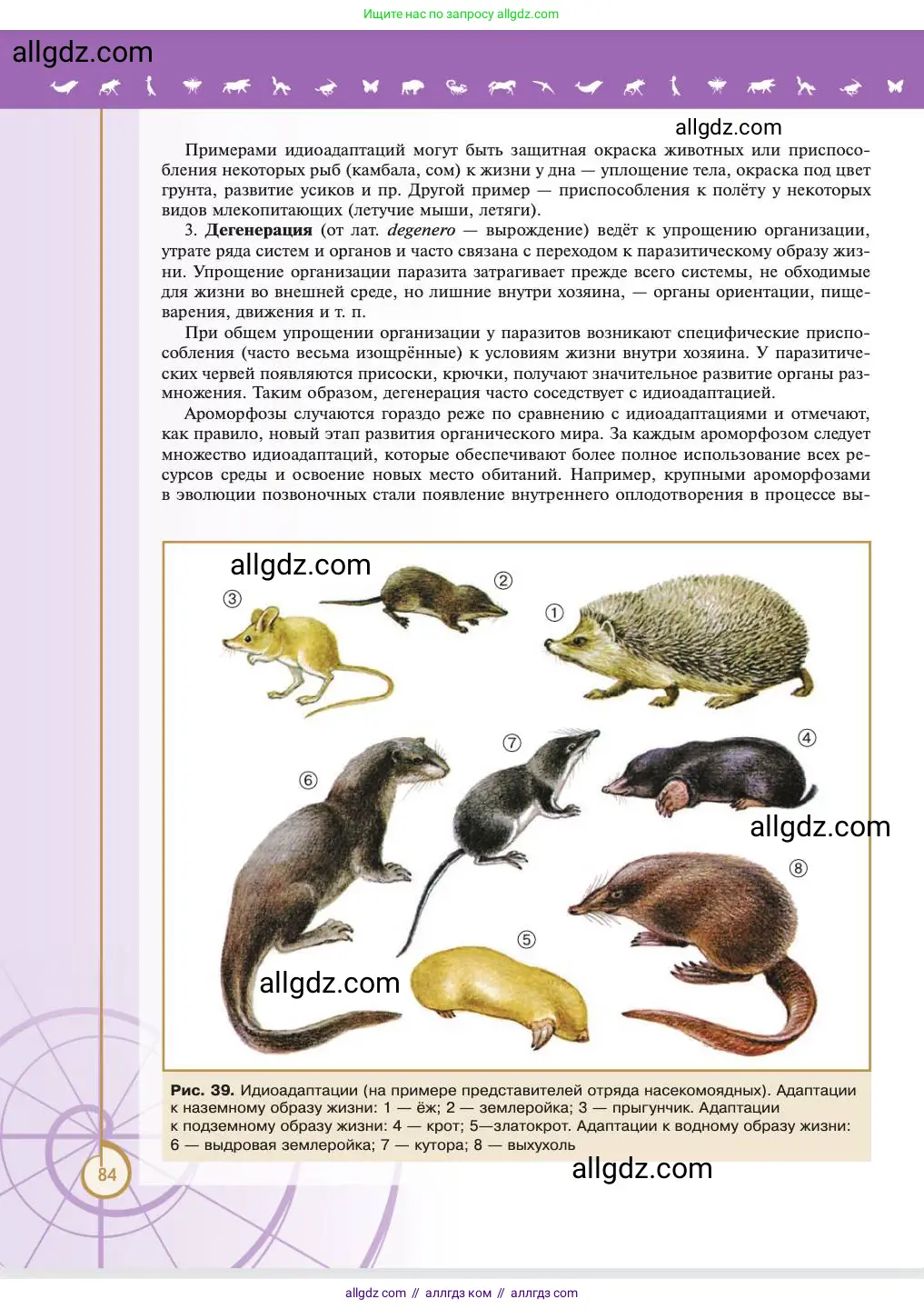 Биология, 11 класс Учебник, авторы: Пасечник Владимир Васильевич, Каменский Андрей Александрович, Рубцов Александр Михайлович, Швецов Глеб Геннадьевич, Абовян Леван Арташесович, Гапонюк Зоя Георгиевна, издательство Просвещение, Москва, 2023, страница 84