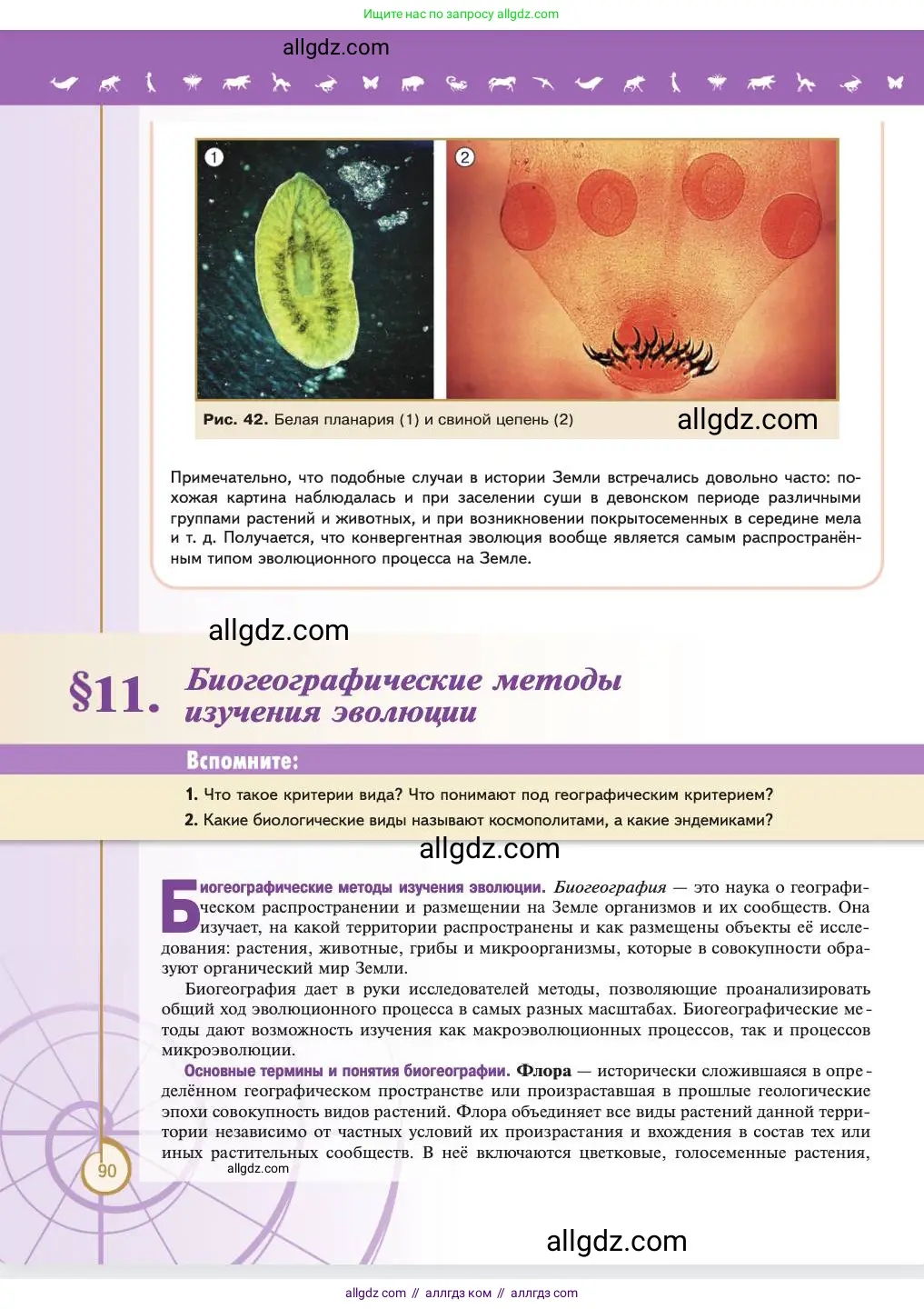 Биология, 11 класс Учебник, авторы: Пасечник Владимир Васильевич, Каменский Андрей Александрович, Рубцов Александр Михайлович, Швецов Глеб Геннадьевич, Абовян Леван Арташесович, Гапонюк Зоя Георгиевна, издательство Просвещение, Москва, 2023, страница 90