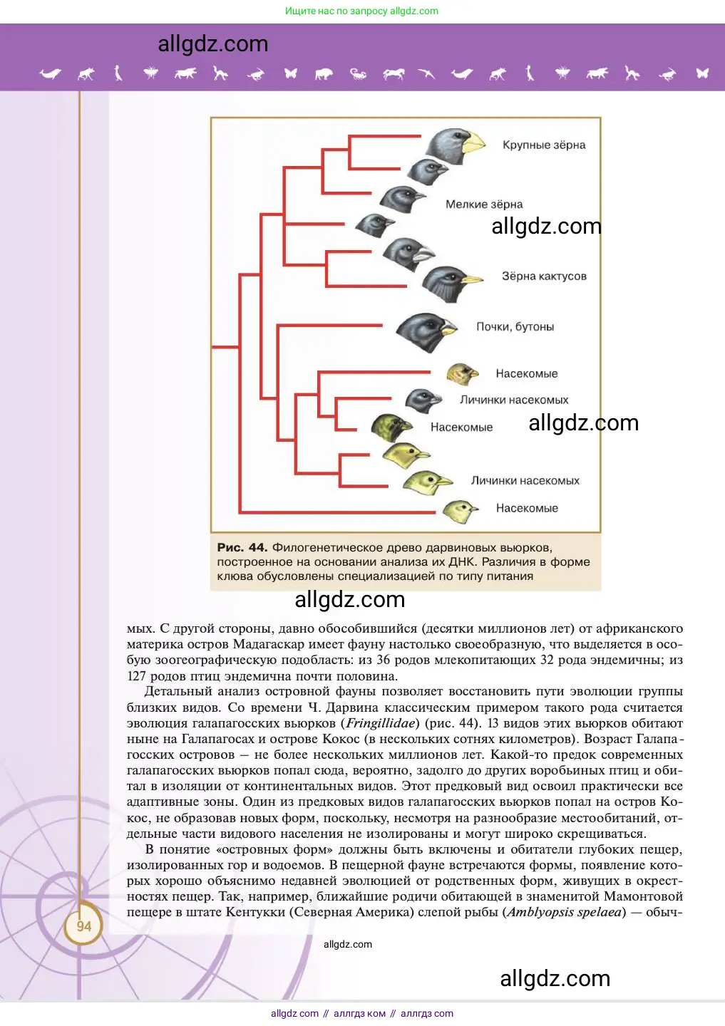 Биология, 11 класс Учебник, авторы: Пасечник Владимир Васильевич, Каменский Андрей Александрович, Рубцов Александр Михайлович, Швецов Глеб Геннадьевич, Абовян Леван Арташесович, Гапонюк Зоя Георгиевна, издательство Просвещение, Москва, 2023, страница 94