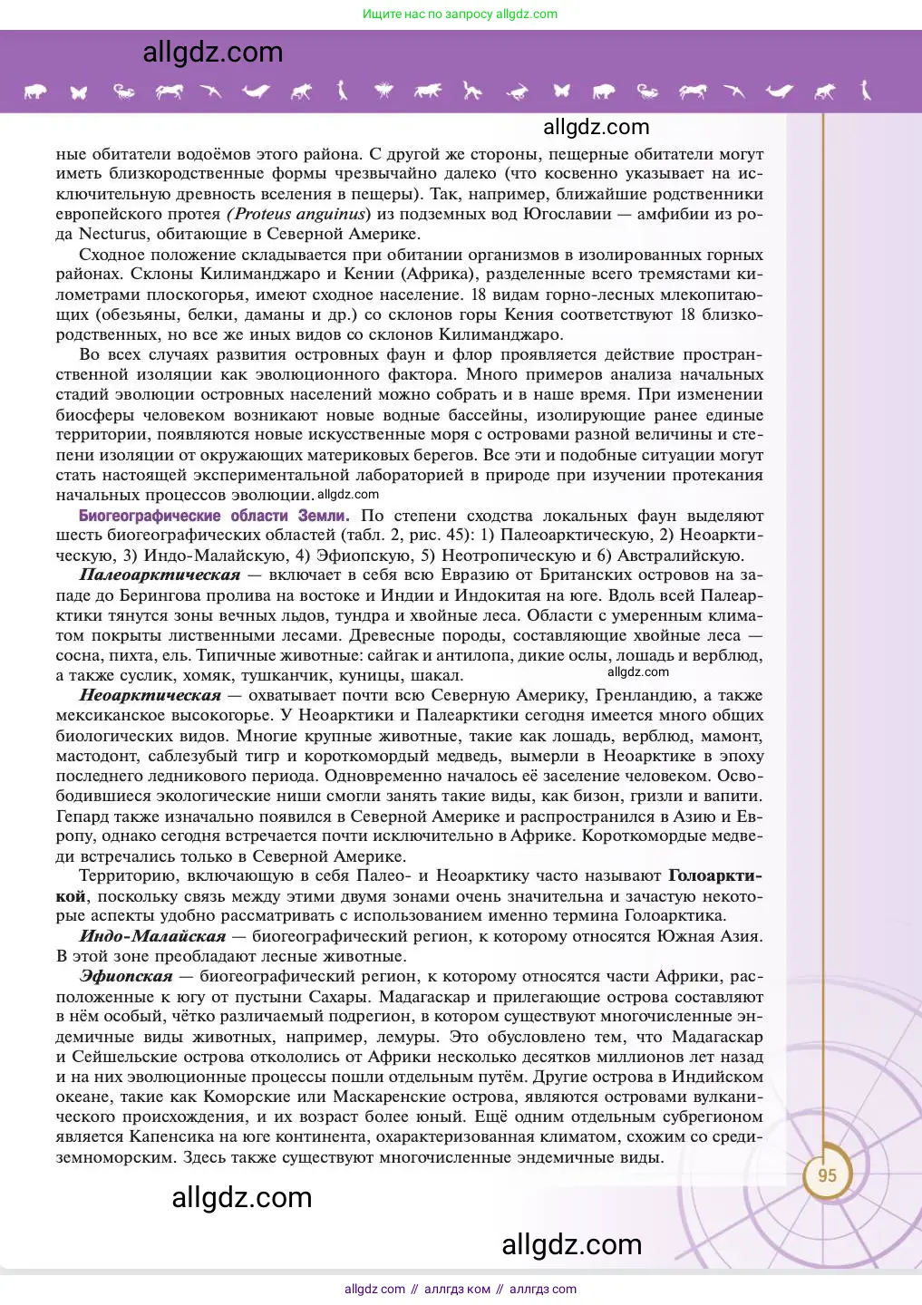 Биология, 11 класс Учебник, авторы: Пасечник Владимир Васильевич, Каменский Андрей Александрович, Рубцов Александр Михайлович, Швецов Глеб Геннадьевич, Абовян Леван Арташесович, Гапонюк Зоя Георгиевна, издательство Просвещение, Москва, 2023, страница 95