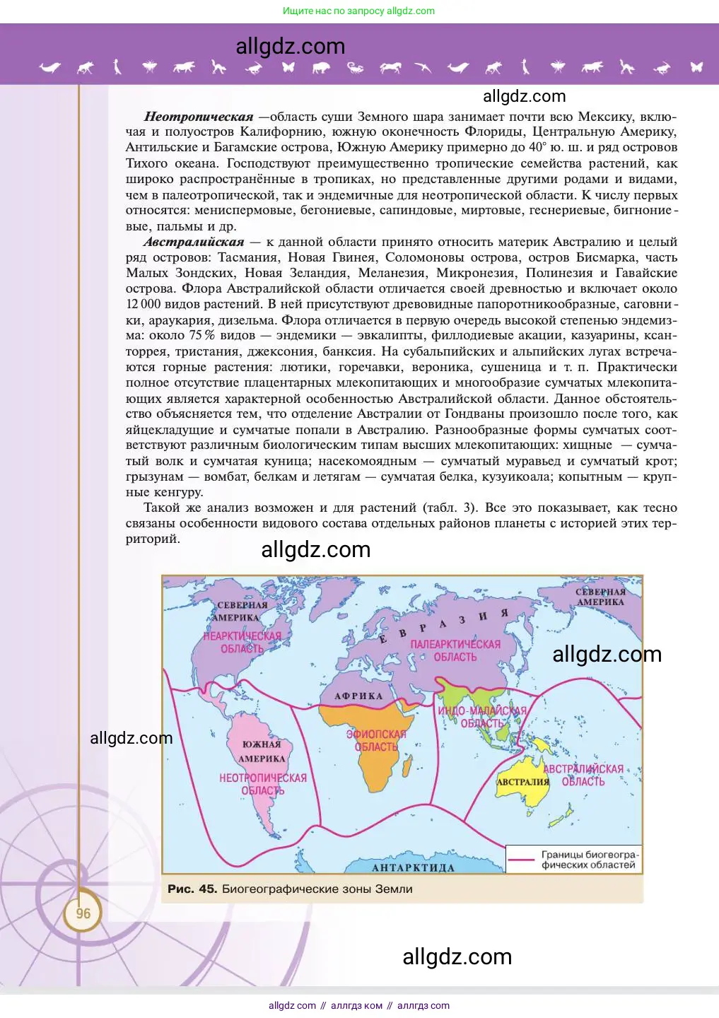 Биология, 11 класс Учебник, авторы: Пасечник Владимир Васильевич, Каменский Андрей Александрович, Рубцов Александр Михайлович, Швецов Глеб Геннадьевич, Абовян Леван Арташесович, Гапонюк Зоя Георгиевна, издательство Просвещение, Москва, 2023, страница 96