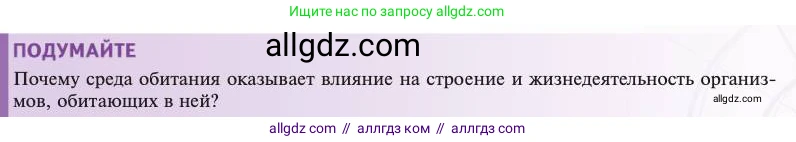 Биология, 11 класс Учебник, авторы: Пасечник Владимир Васильевич, Каменский Андрей Александрович, Рубцов Александр Михайлович, Швецов Глеб Геннадьевич, Абовян Леван Арташесович, Гапонюк Зоя Георгиевна, издательство Просвещение, Москва, 2023, страница 205, Условие