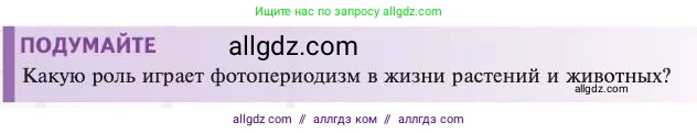 Биология, 11 класс Учебник, авторы: Пасечник Владимир Васильевич, Каменский Андрей Александрович, Рубцов Александр Михайлович, Швецов Глеб Геннадьевич, Абовян Леван Арташесович, Гапонюк Зоя Георгиевна, издательство Просвещение, Москва, 2023, страница 216, Условие