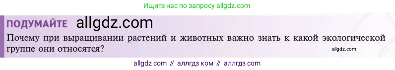 Биология, 11 класс Учебник, авторы: Пасечник Владимир Васильевич, Каменский Андрей Александрович, Рубцов Александр Михайлович, Швецов Глеб Геннадьевич, Абовян Леван Арташесович, Гапонюк Зоя Георгиевна, издательство Просвещение, Москва, 2023, страница 219, Условие