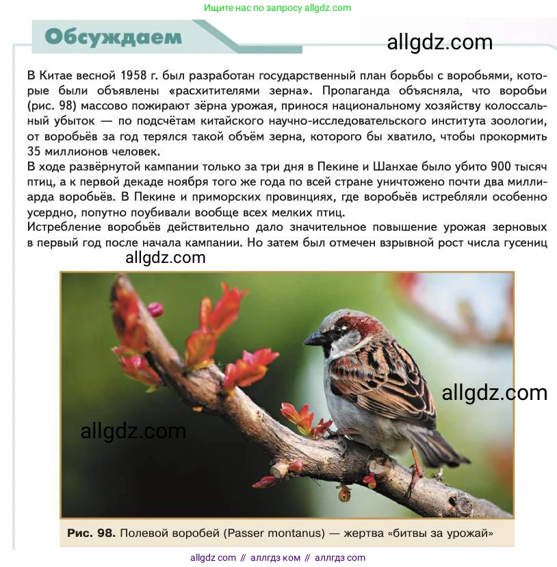 Биология, 11 класс Учебник, авторы: Пасечник Владимир Васильевич, Каменский Андрей Александрович, Рубцов Александр Михайлович, Швецов Глеб Геннадьевич, Абовян Леван Арташесович, Гапонюк Зоя Георгиевна, издательство Просвещение, Москва, 2023, страница 237, Условие