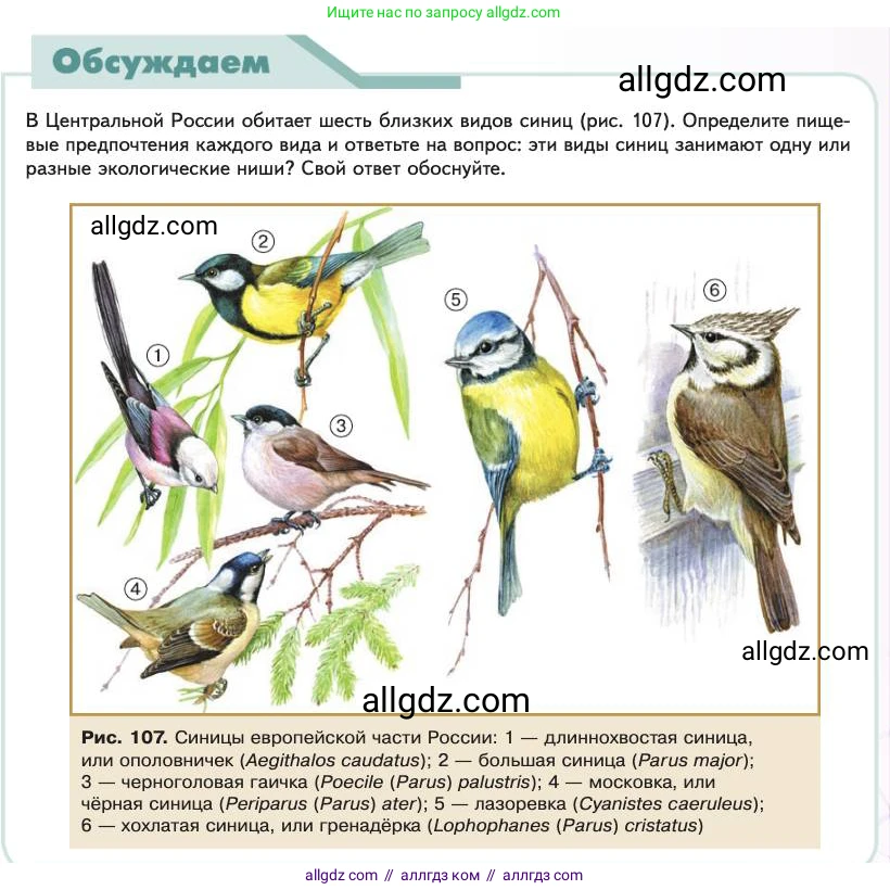 Биология, 11 класс Учебник, авторы: Пасечник Владимир Васильевич, Каменский Андрей Александрович, Рубцов Александр Михайлович, Швецов Глеб Геннадьевич, Абовян Леван Арташесович, Гапонюк Зоя Георгиевна, издательство Просвещение, Москва, 2023, страница 275, Условие