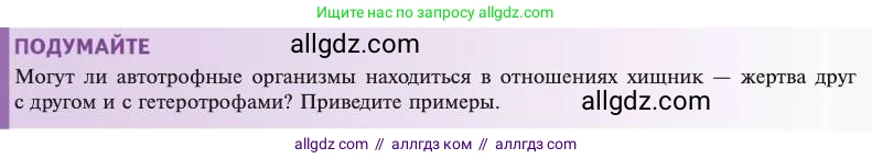 Биология, 11 класс Учебник, авторы: Пасечник Владимир Васильевич, Каменский Андрей Александрович, Рубцов Александр Михайлович, Швецов Глеб Геннадьевич, Абовян Леван Арташесович, Гапонюк Зоя Георгиевна, издательство Просвещение, Москва, 2023, страница 293, Условие