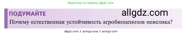 Биология, 11 класс Учебник, авторы: Пасечник Владимир Васильевич, Каменский Андрей Александрович, Рубцов Александр Михайлович, Швецов Глеб Геннадьевич, Абовян Леван Арташесович, Гапонюк Зоя Георгиевна, издательство Просвещение, Москва, 2023, страница 329, Условие