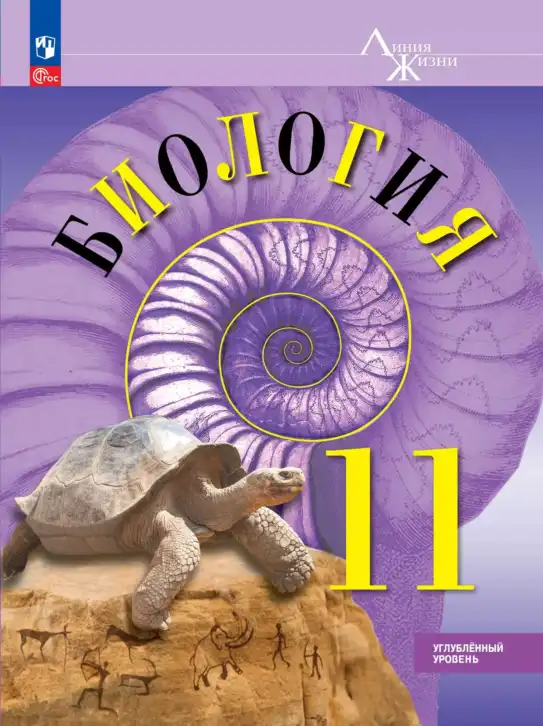 Биология, 11 класс Учебник, авторы: Пасечник Владимир Васильевич, Каменский Андрей Александрович, Рубцов Александр Михайлович, Швецов Глеб Геннадьевич, Абовян Леван Арташесович, Гапонюк Зоя Георгиевна, издательство Просвещение, Москва, 2023