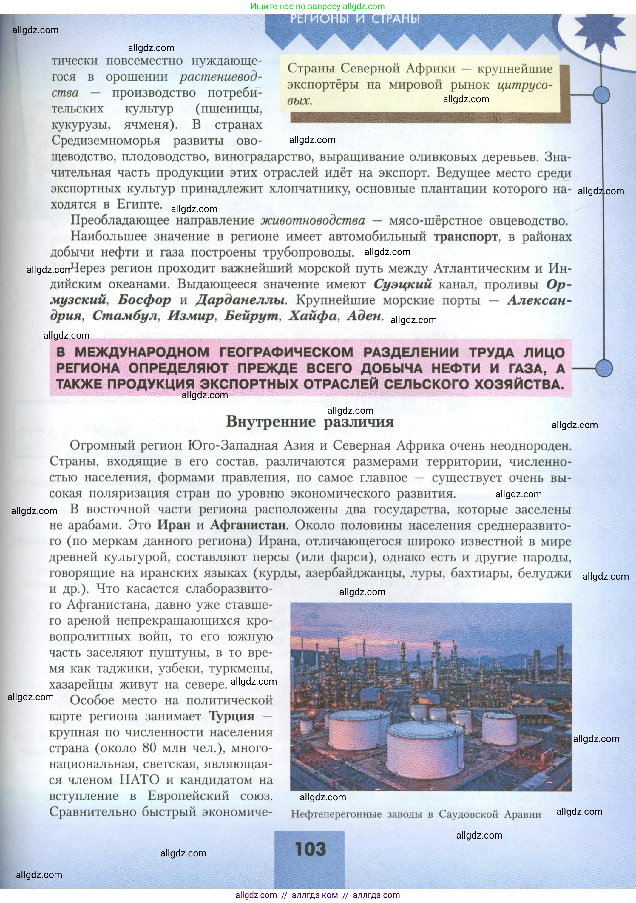 География, 11 класс Учебник, авторы: Гладкий Юрий Никифорович, Николина Вера Викторовна, издательство Просвещение, Москва, 2019, жёлтого цвета, страница 103