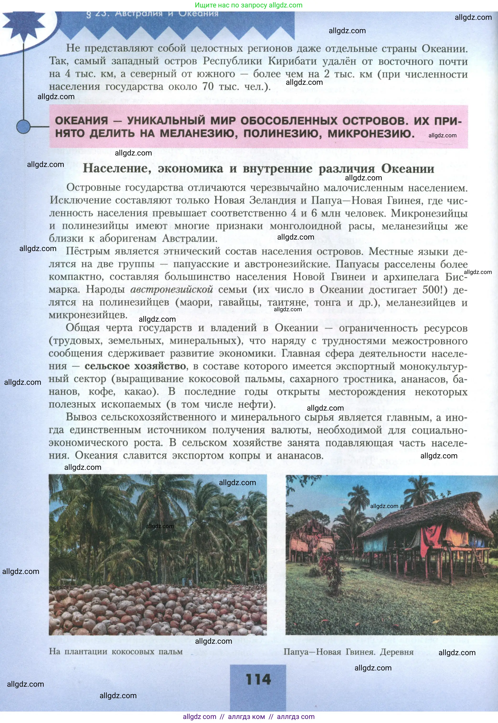 География, 11 класс Учебник, авторы: Гладкий Юрий Никифорович, Николина Вера Викторовна, издательство Просвещение, Москва, 2019, жёлтого цвета, страница 114