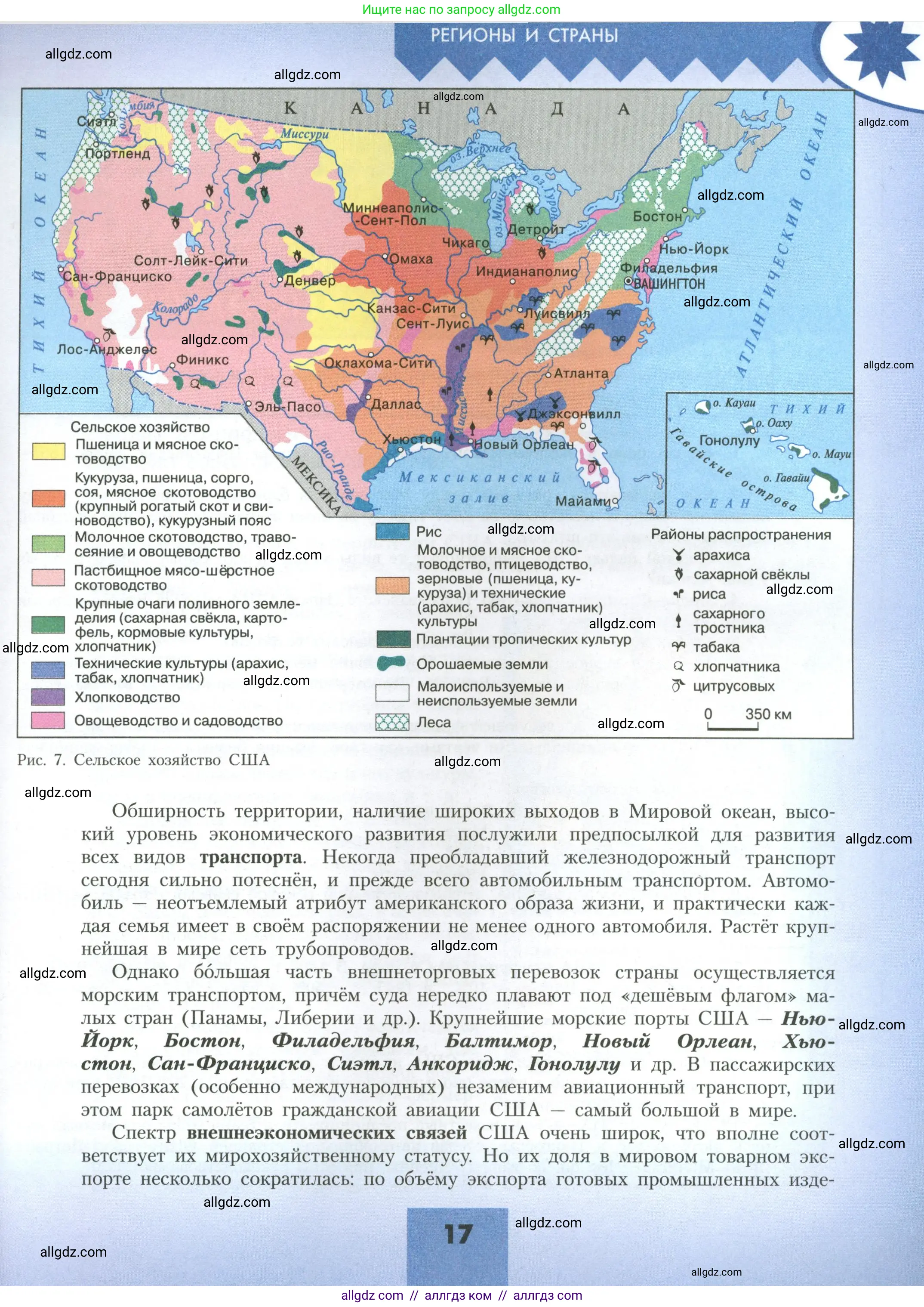 География, 11 класс Учебник, авторы: Гладкий Юрий Никифорович, Николина Вера Викторовна, издательство Просвещение, Москва, 2019, жёлтого цвета, страница 17