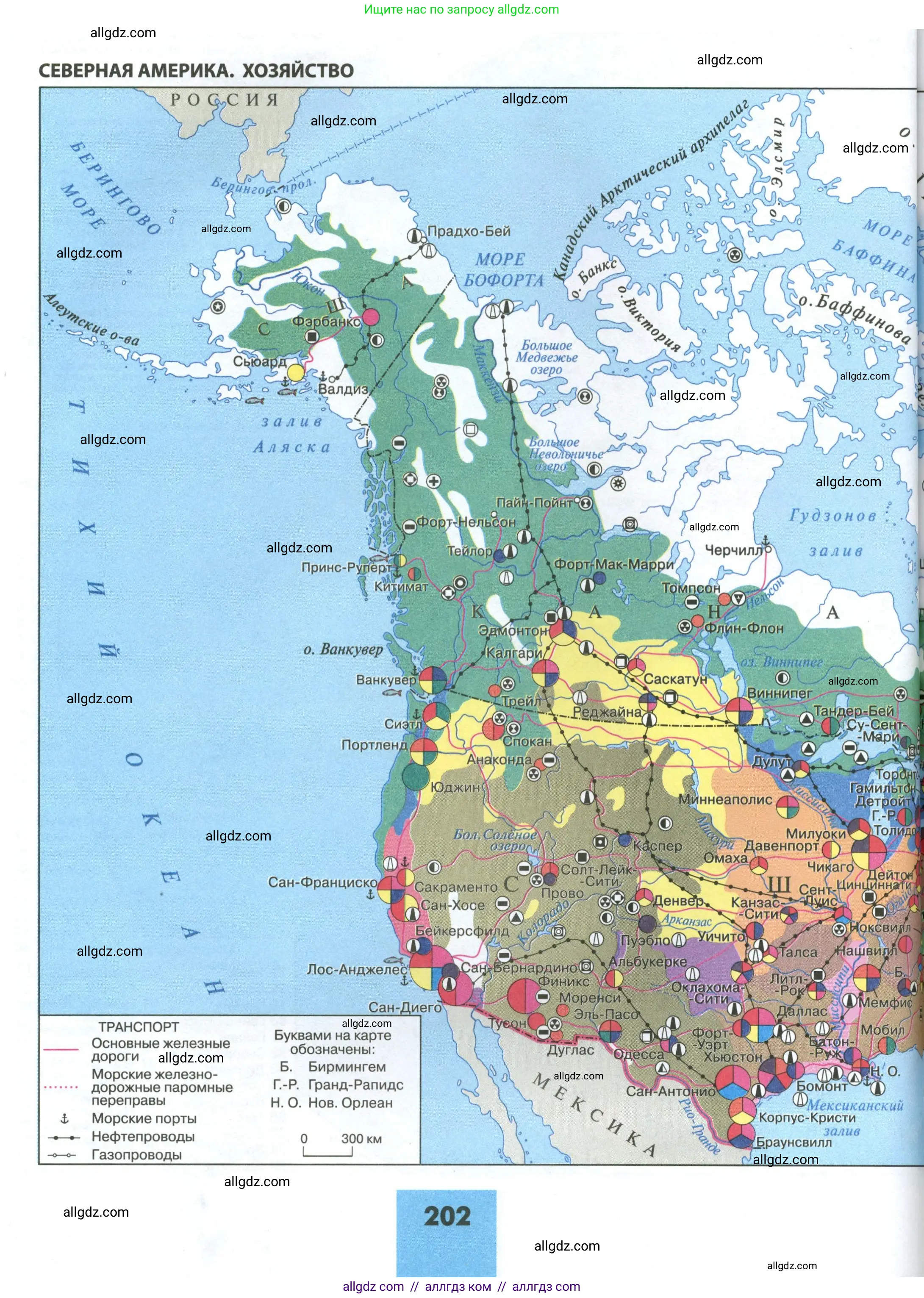 География, 11 класс Учебник, авторы: Гладкий Юрий Никифорович, Николина Вера Викторовна, издательство Просвещение, Москва, 2019, жёлтого цвета, страница 202