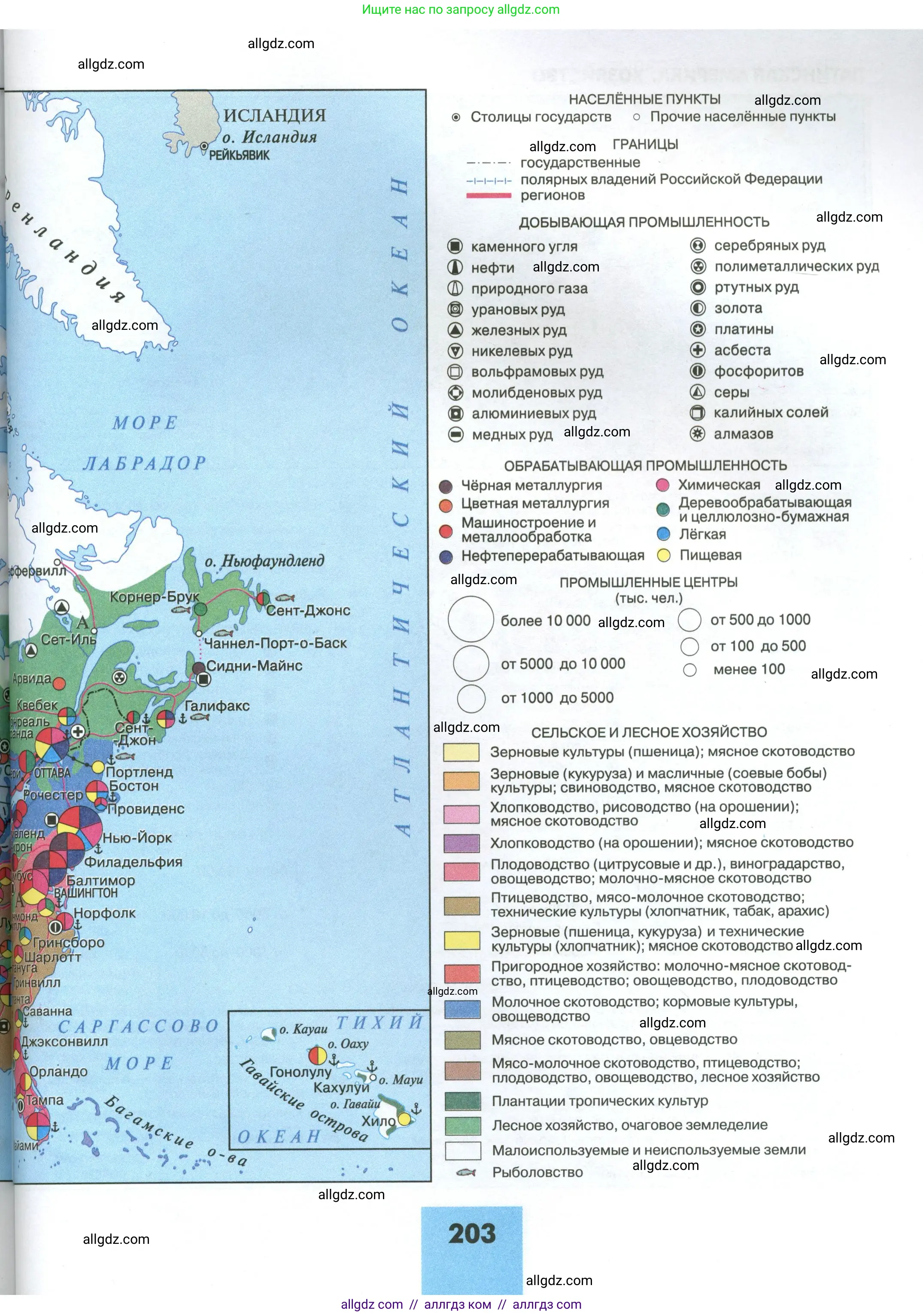 География, 11 класс Учебник, авторы: Гладкий Юрий Никифорович, Николина Вера Викторовна, издательство Просвещение, Москва, 2019, жёлтого цвета, страница 203
