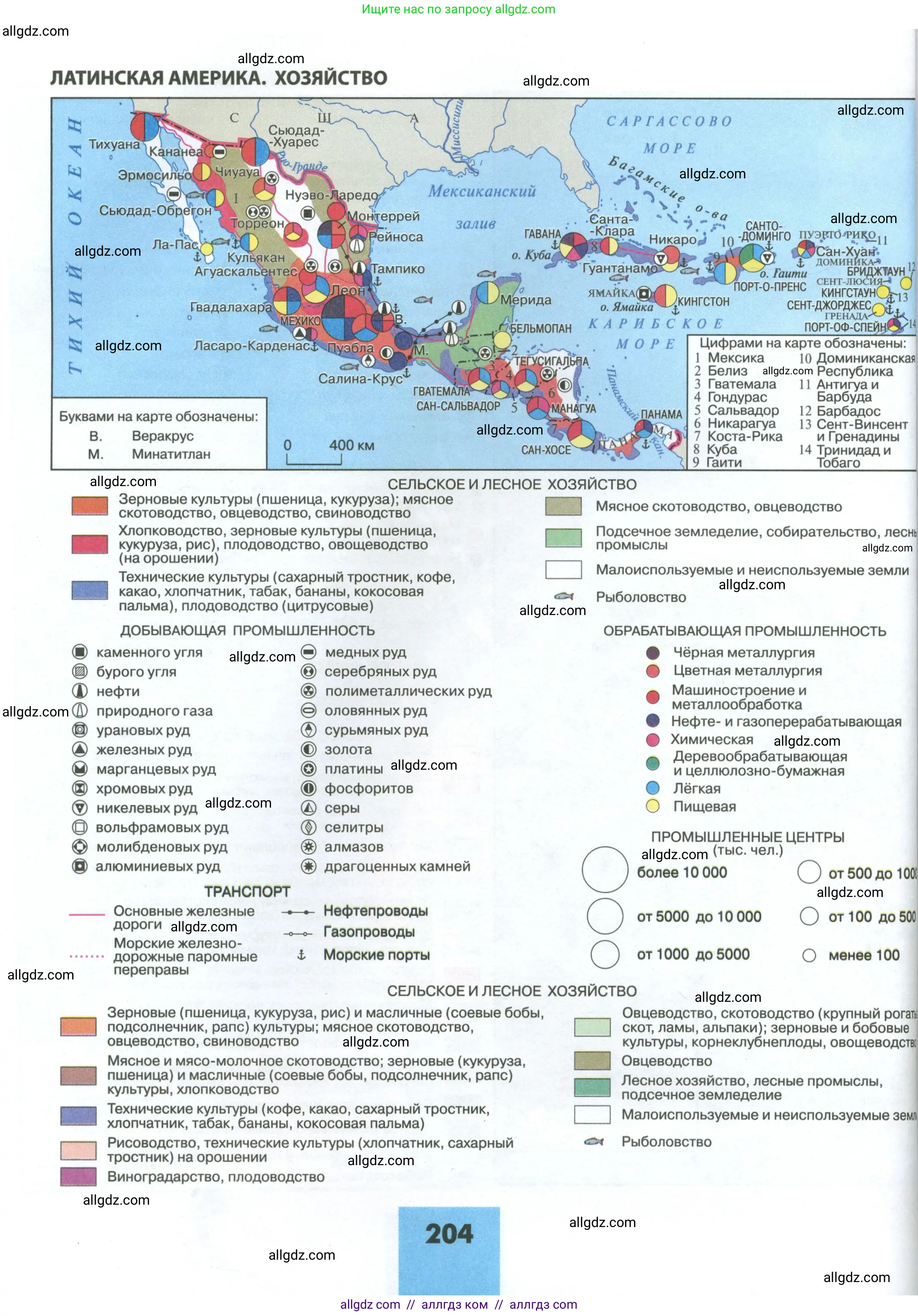 География, 11 класс Учебник, авторы: Гладкий Юрий Никифорович, Николина Вера Викторовна, издательство Просвещение, Москва, 2019, жёлтого цвета, страница 204