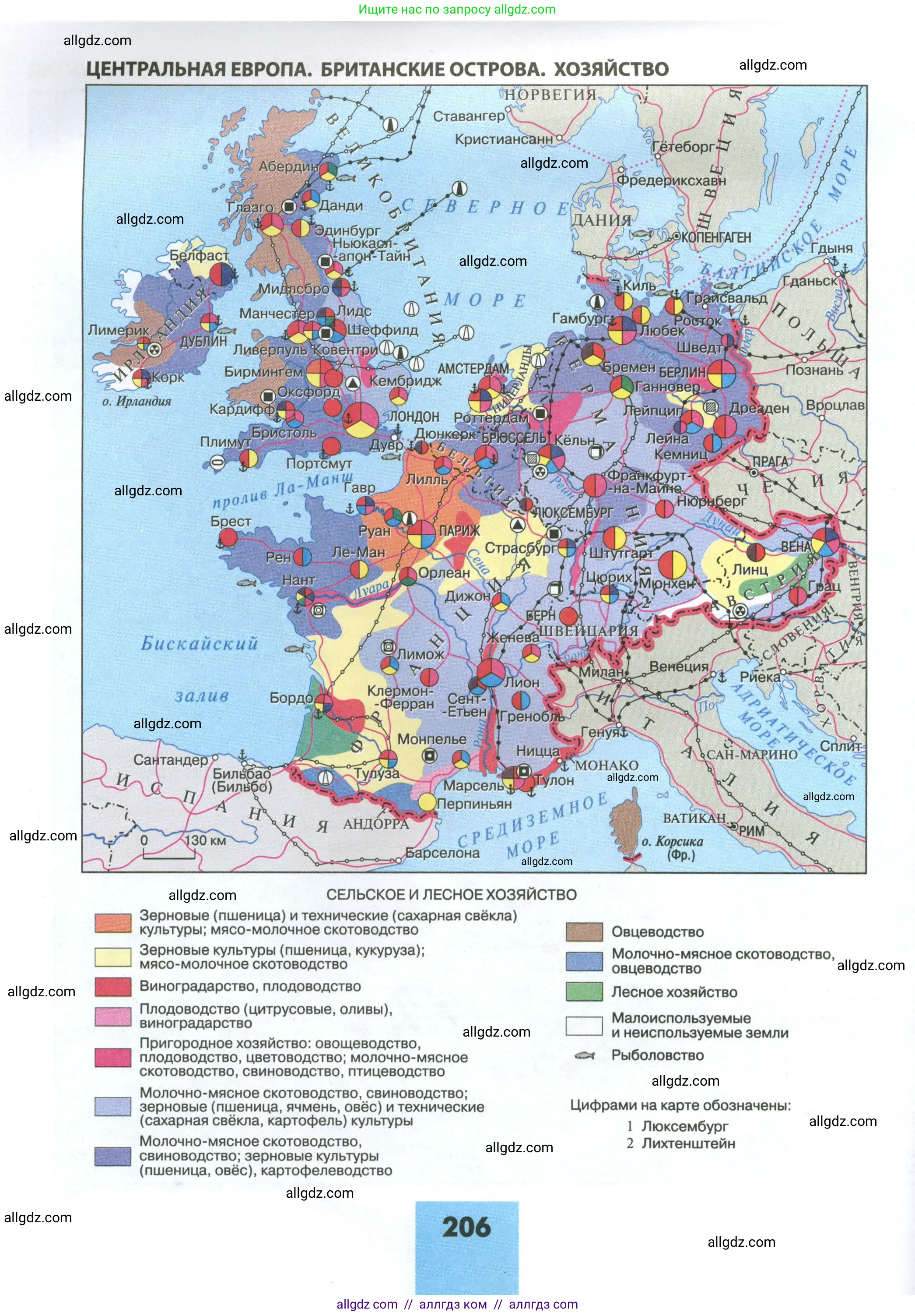 География, 11 класс Учебник, авторы: Гладкий Юрий Никифорович, Николина Вера Викторовна, издательство Просвещение, Москва, 2019, жёлтого цвета, страница 206