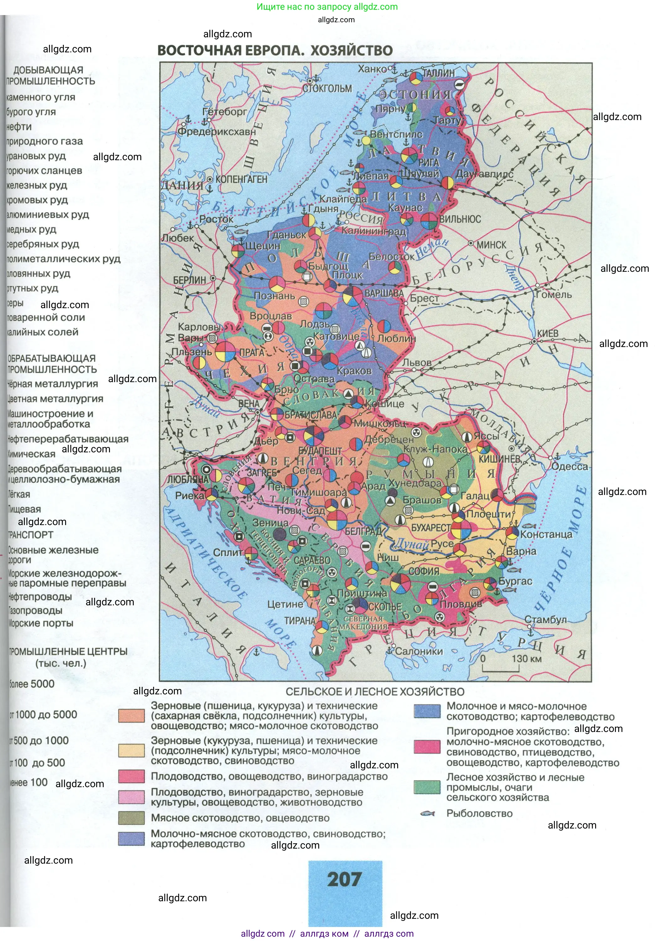 География, 11 класс Учебник, авторы: Гладкий Юрий Никифорович, Николина Вера Викторовна, издательство Просвещение, Москва, 2019, жёлтого цвета, страница 207