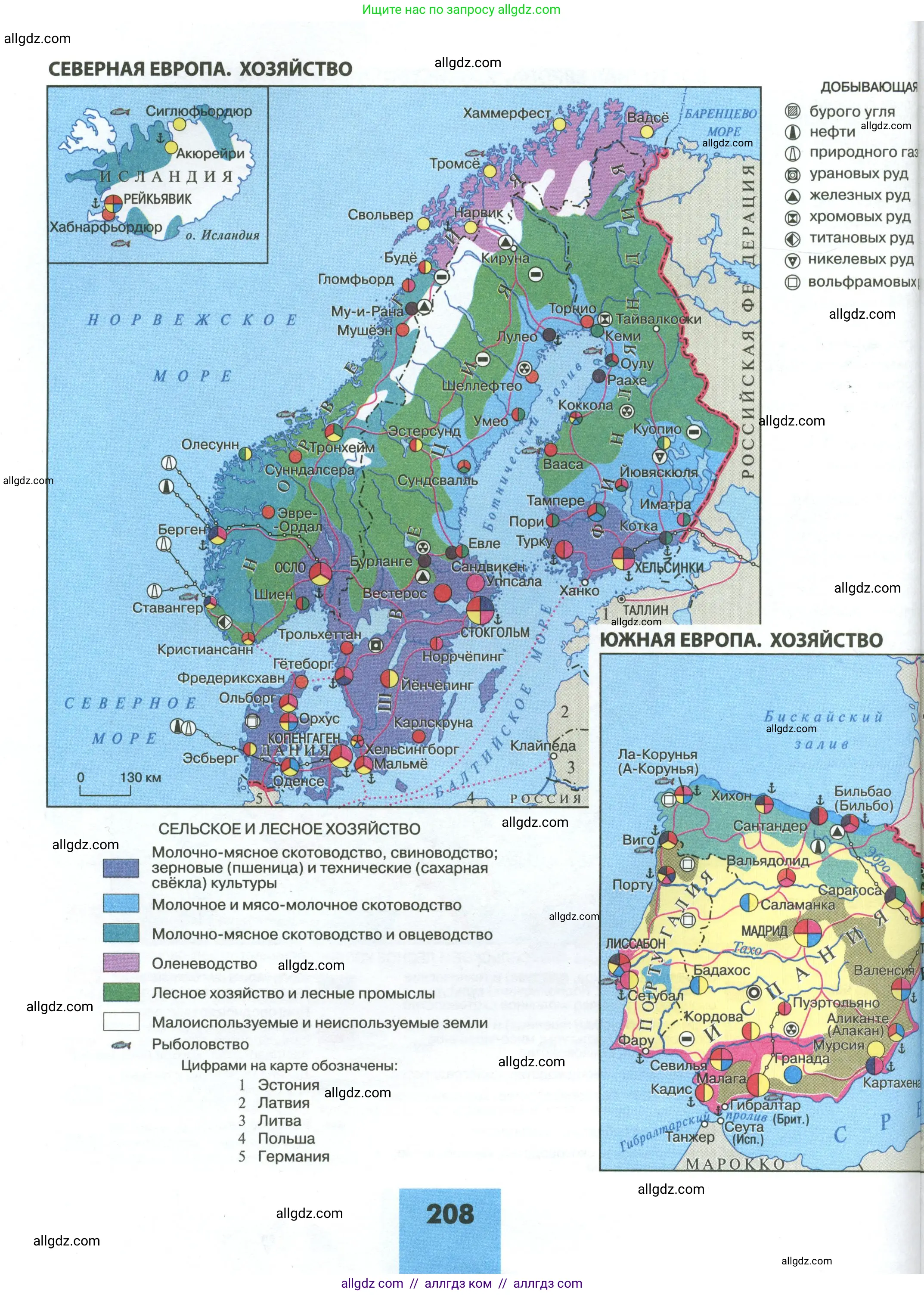 География, 11 класс Учебник, авторы: Гладкий Юрий Никифорович, Николина Вера Викторовна, издательство Просвещение, Москва, 2019, жёлтого цвета, страница 208